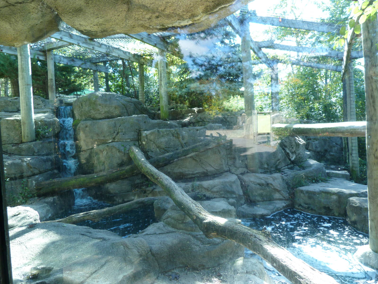 Snow Leopard Exhibit