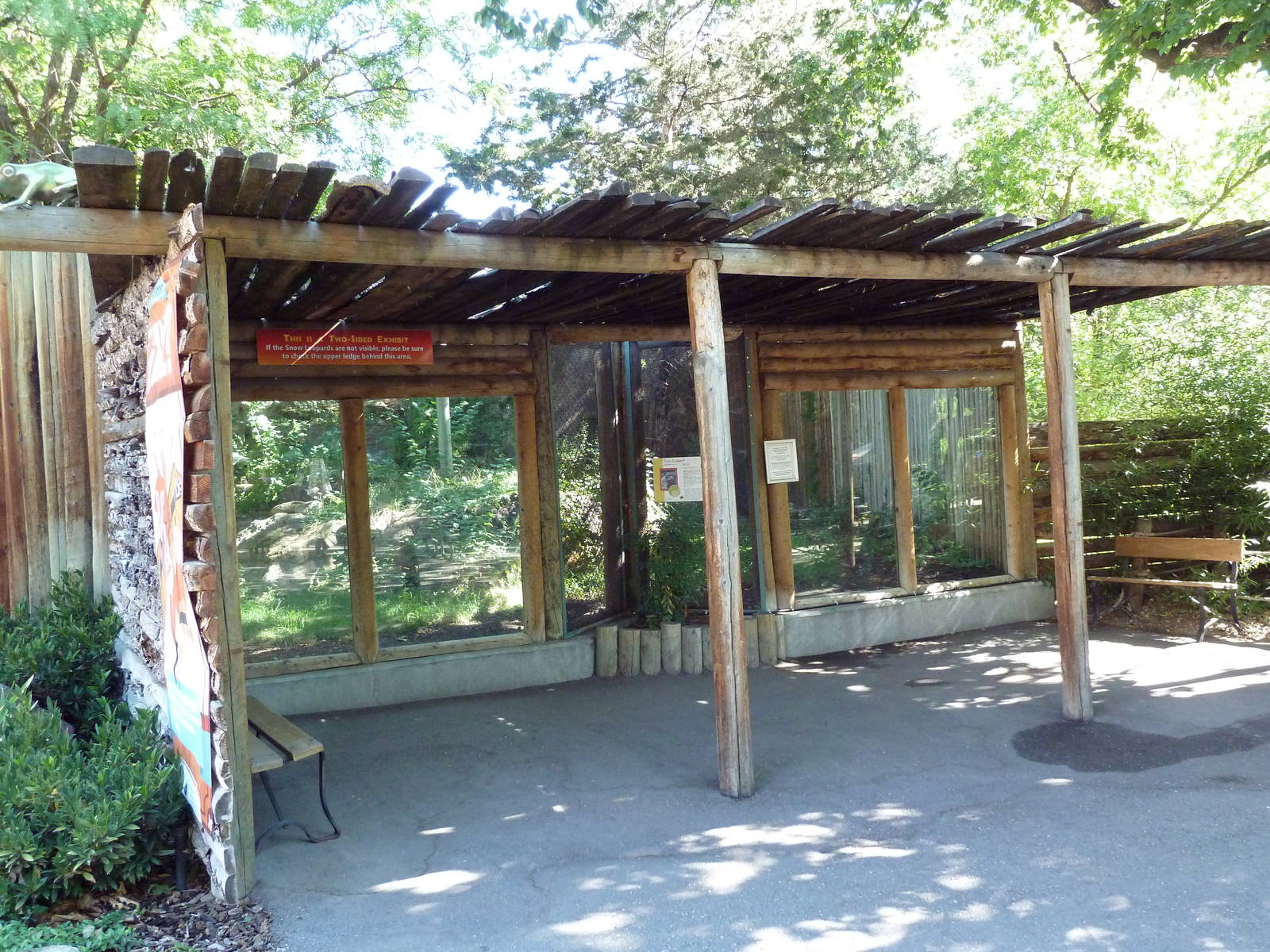 Snow Leopard Exhibit