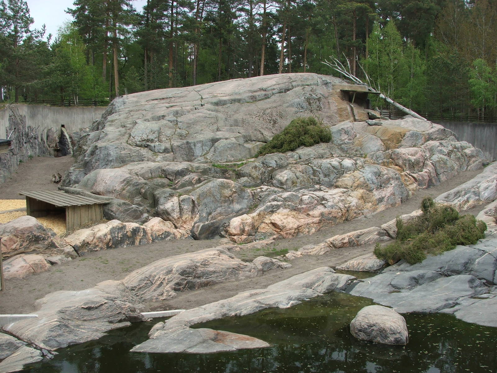 Snow leopard exhibit