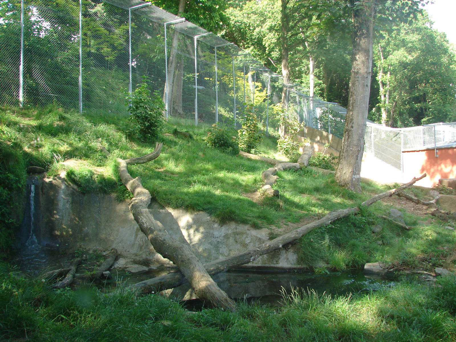 Snow leopard exhibit