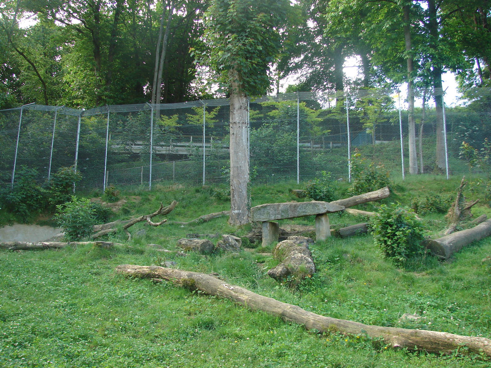 Snow leopard exhibit