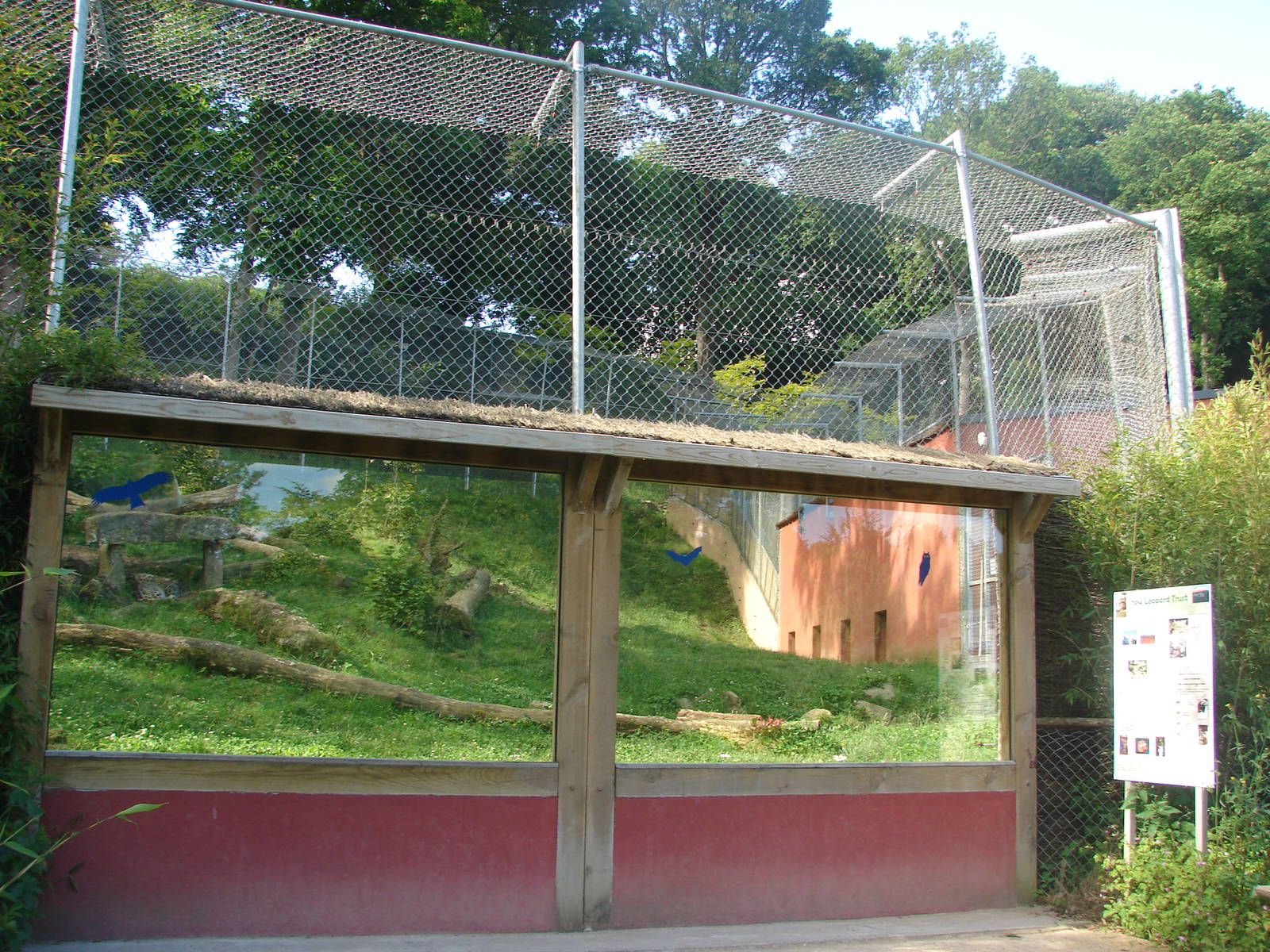 Snow leopard exhibit
