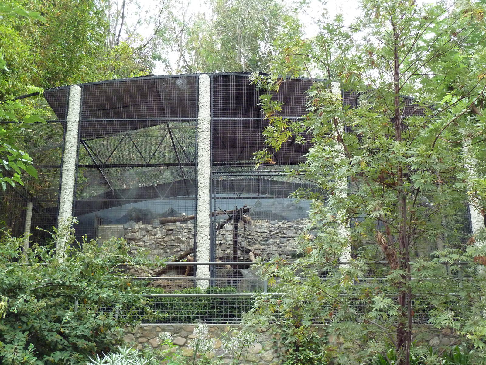 Snow Leopard Exhibit