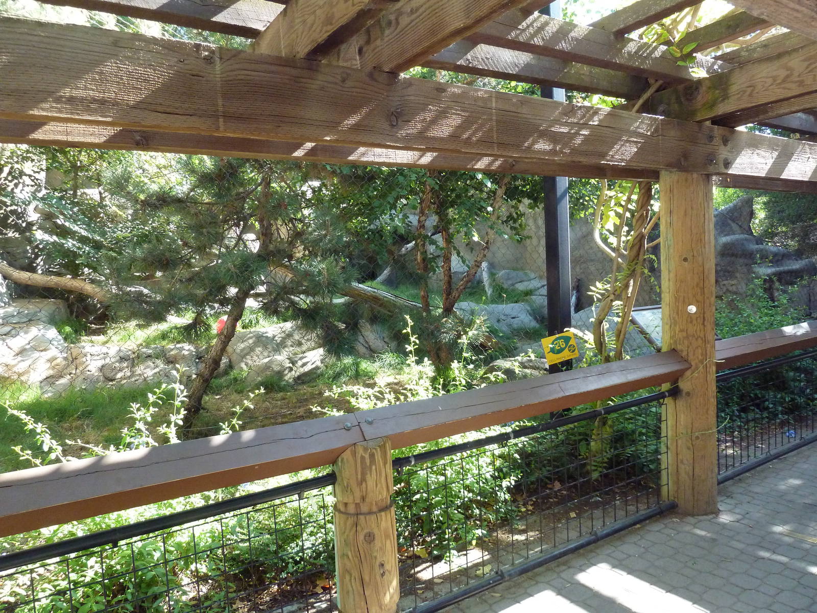 Snow Leopard Exhibit