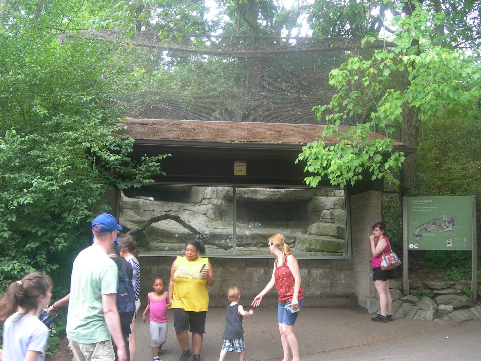 snow leopard exhibit