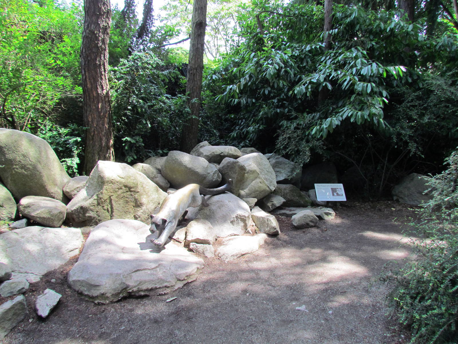 Snow Leopard Exhibit
