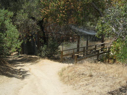 snow leopard exhibit