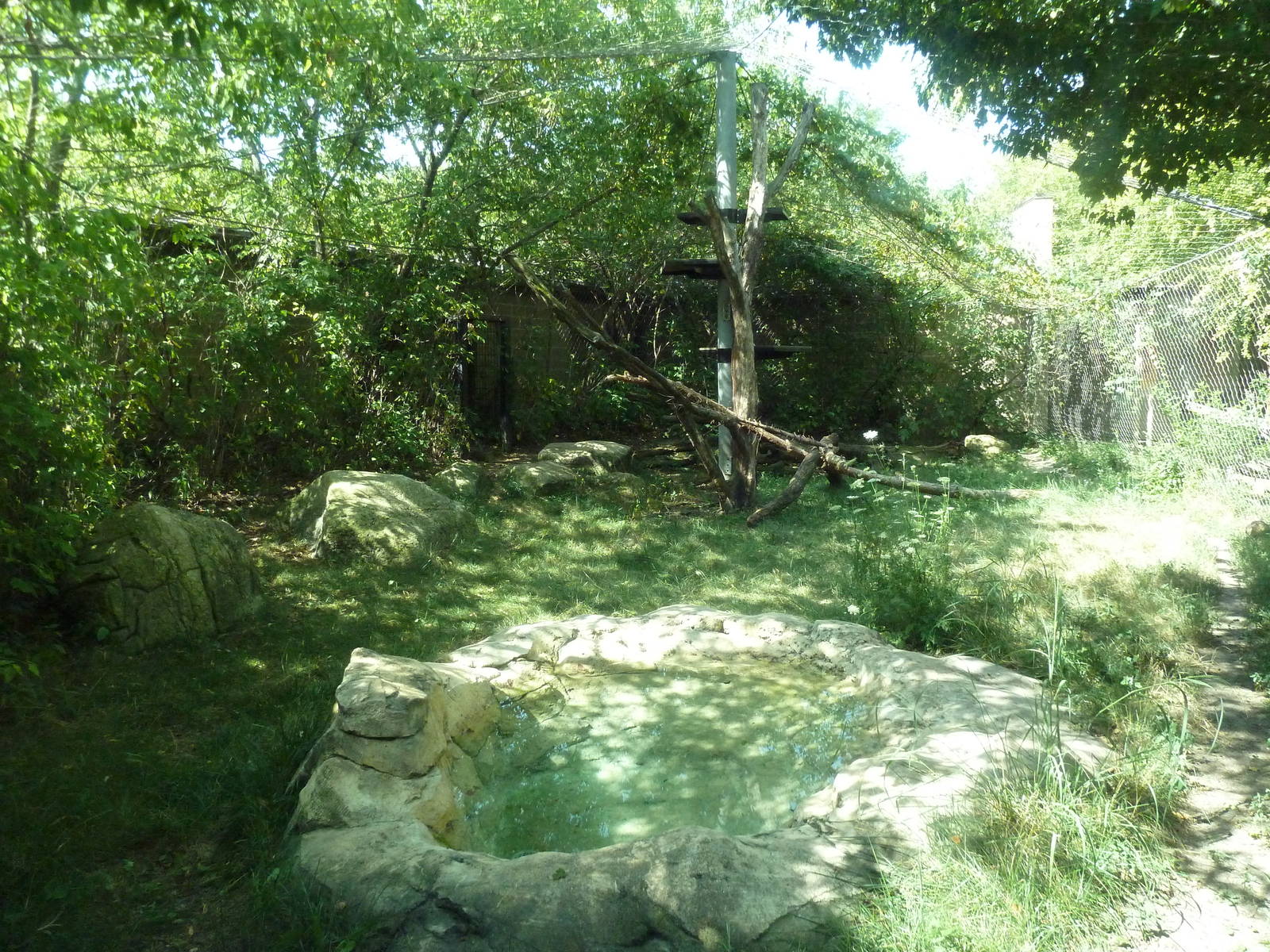 Snow Leopard Exhibit