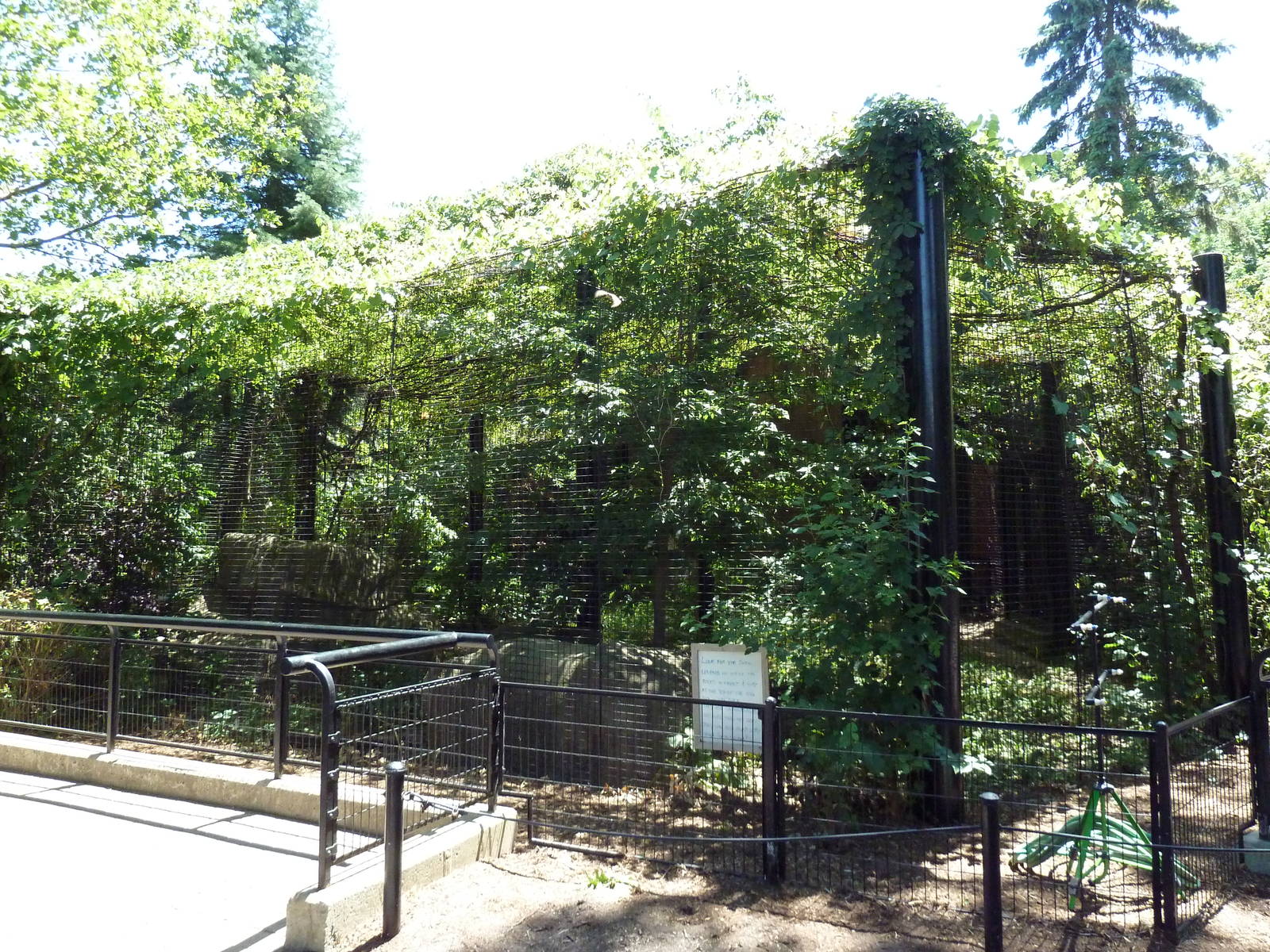 Snow Leopard Exhibit