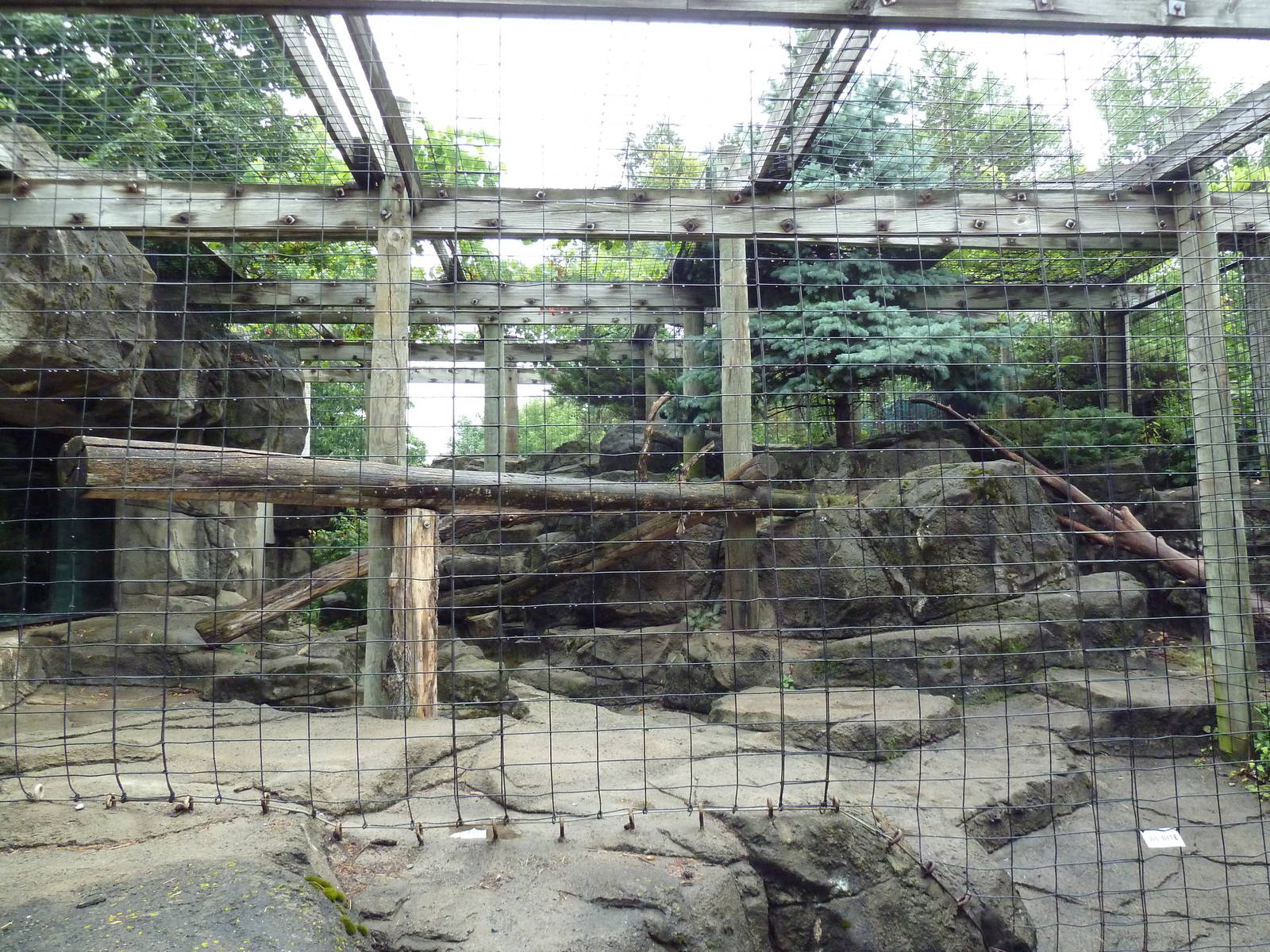 Snow Leopard Exhibit