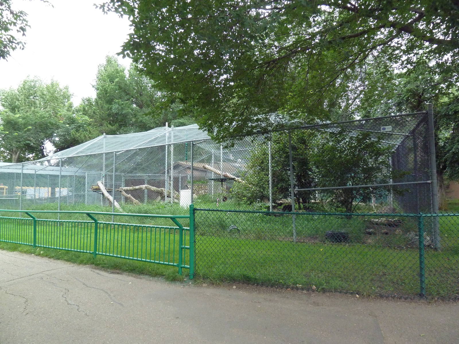 Snow Leopard Exhibit