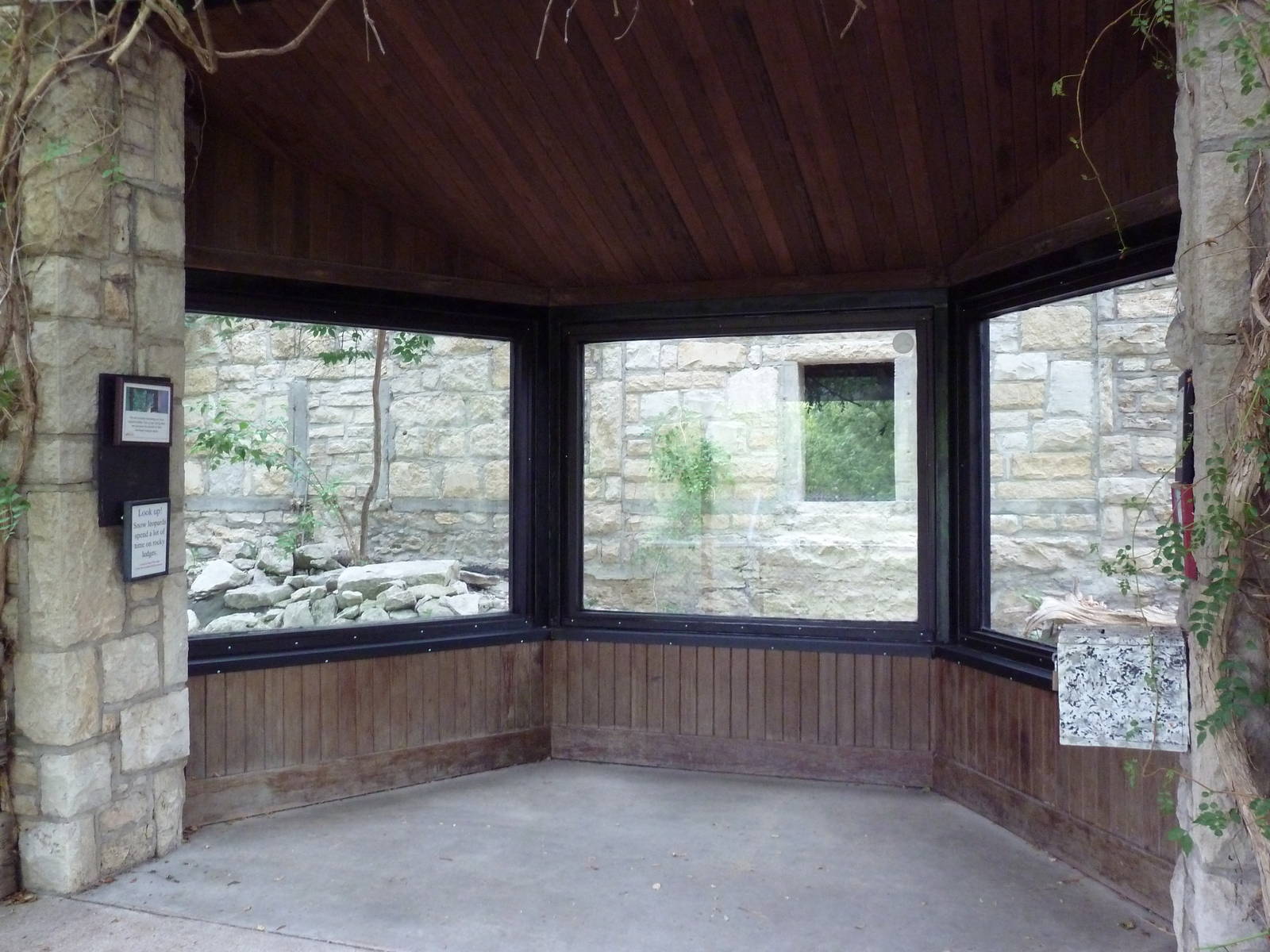 Snow Leopard Exhibit