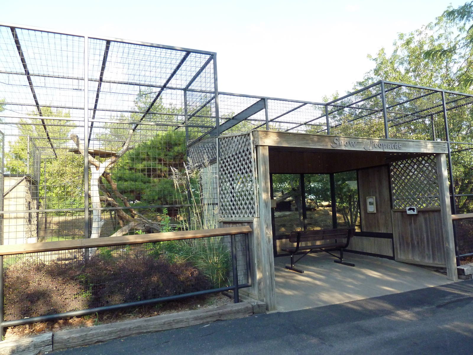 Snow Leopard Exhibit