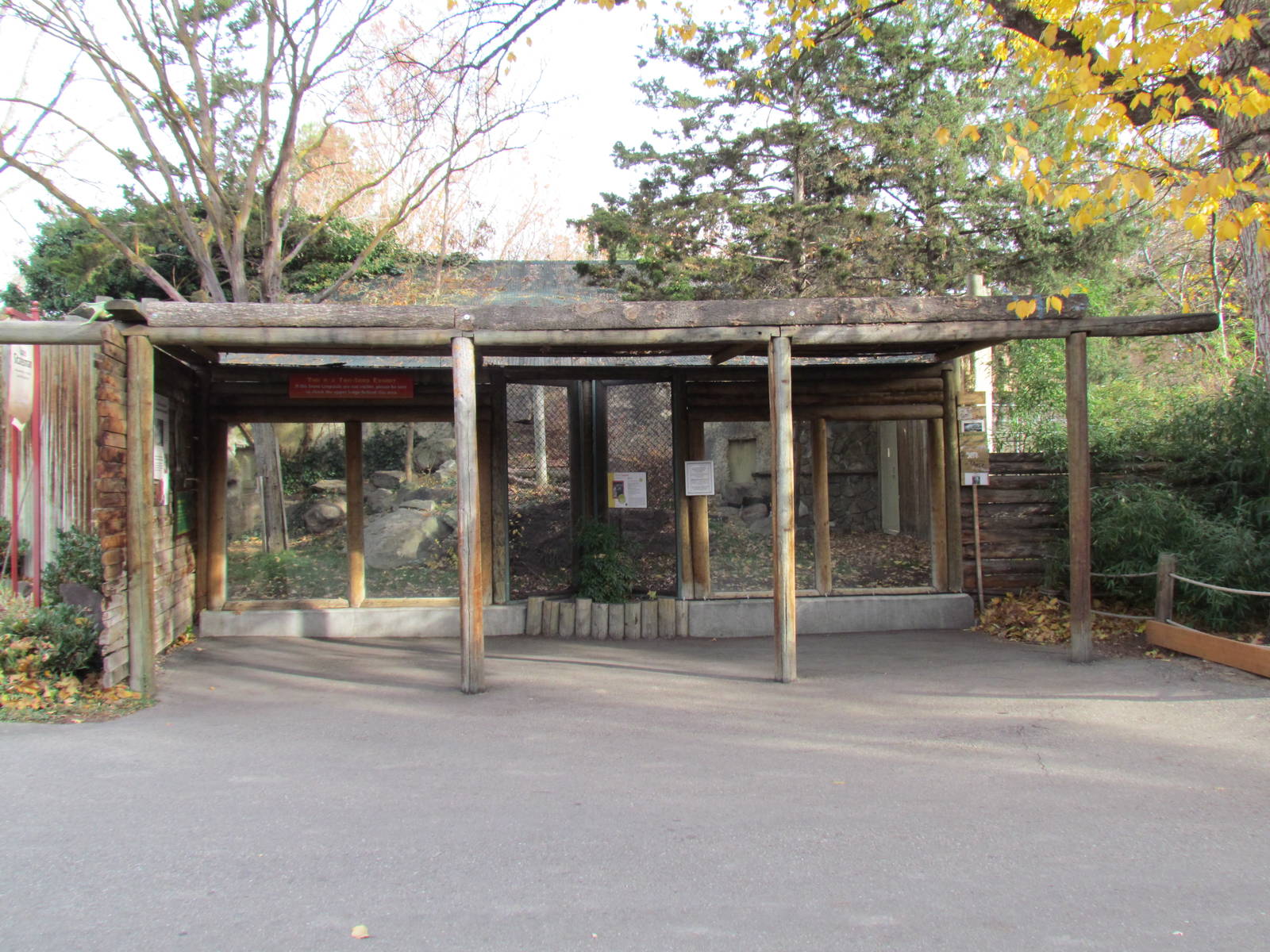 Snow Leopard Exhibit