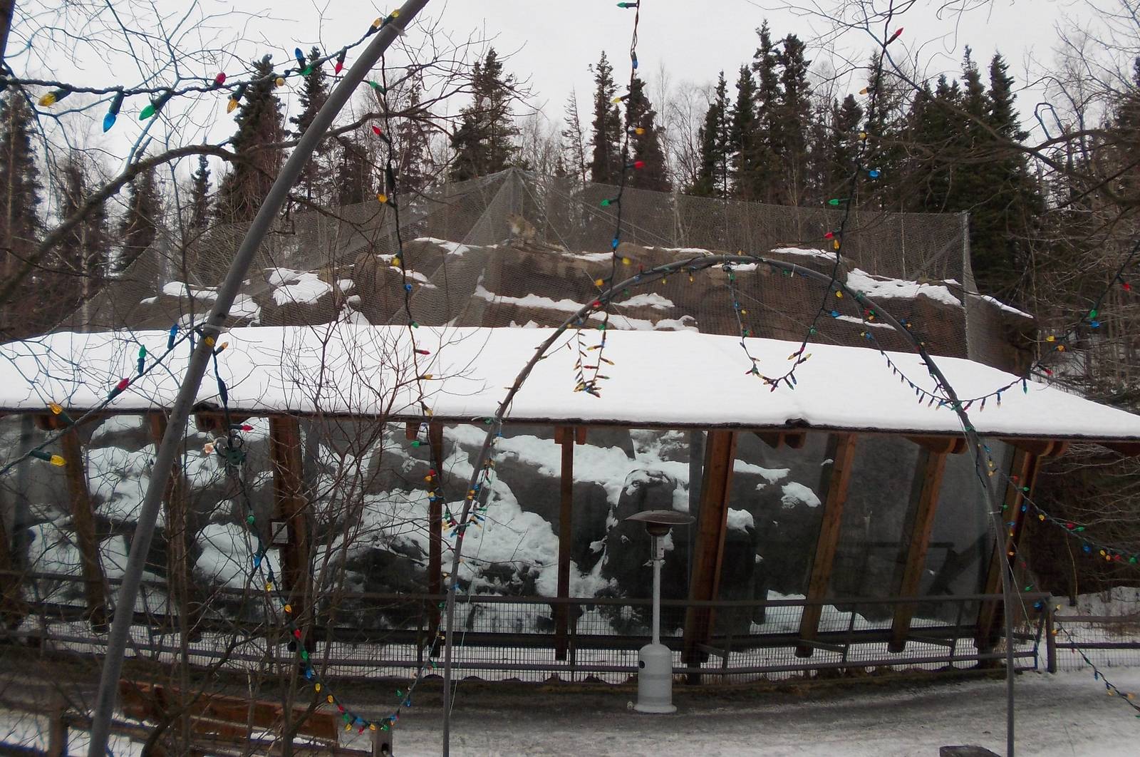 Snow Leopard Exhibit
