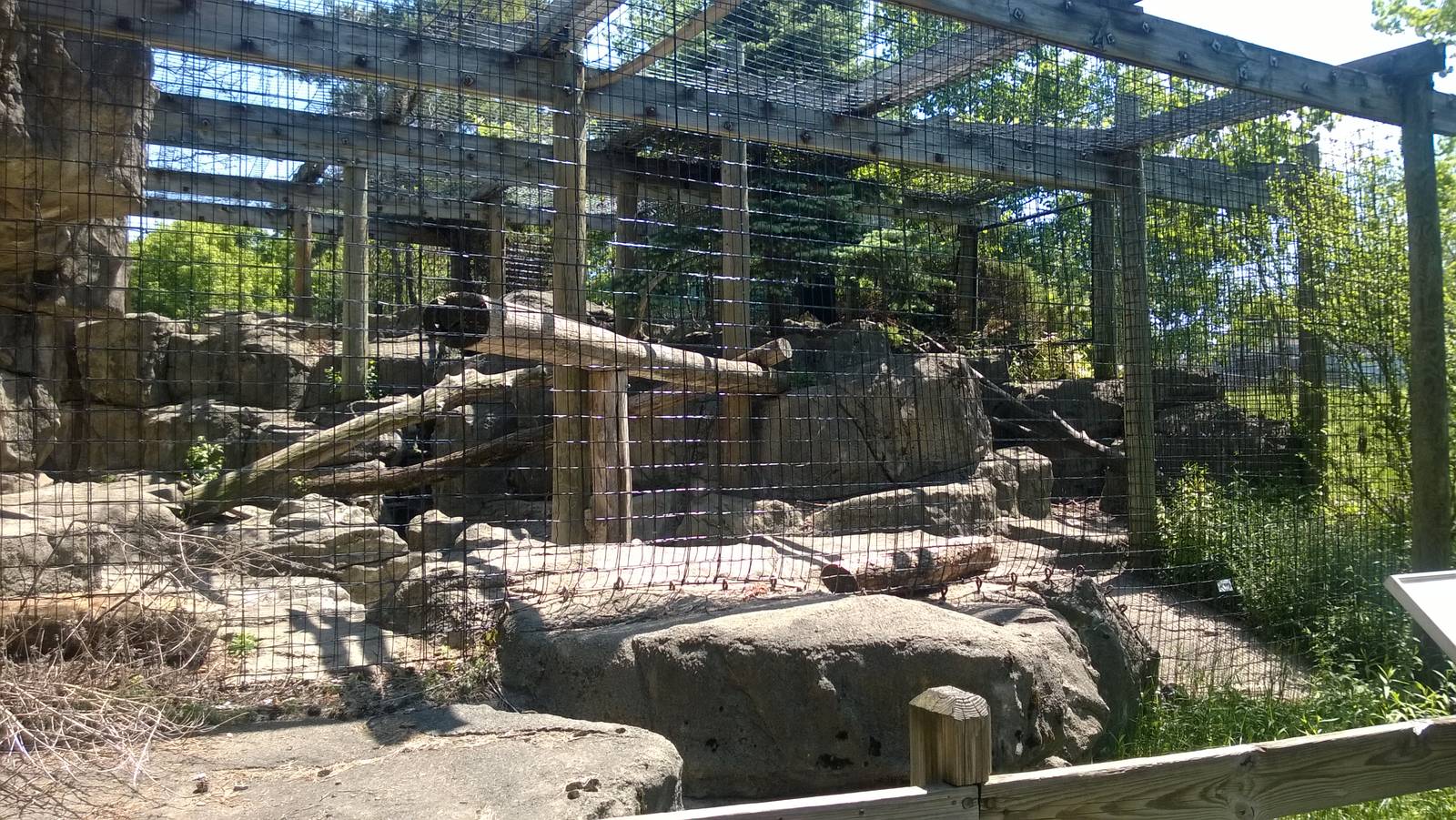 Snow Leopard Exhibit