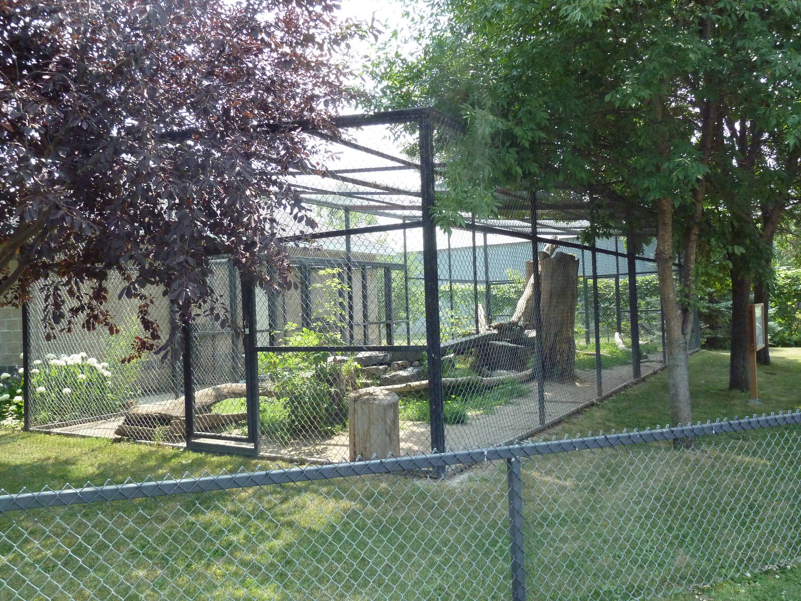 Snow Leopard Exhibit