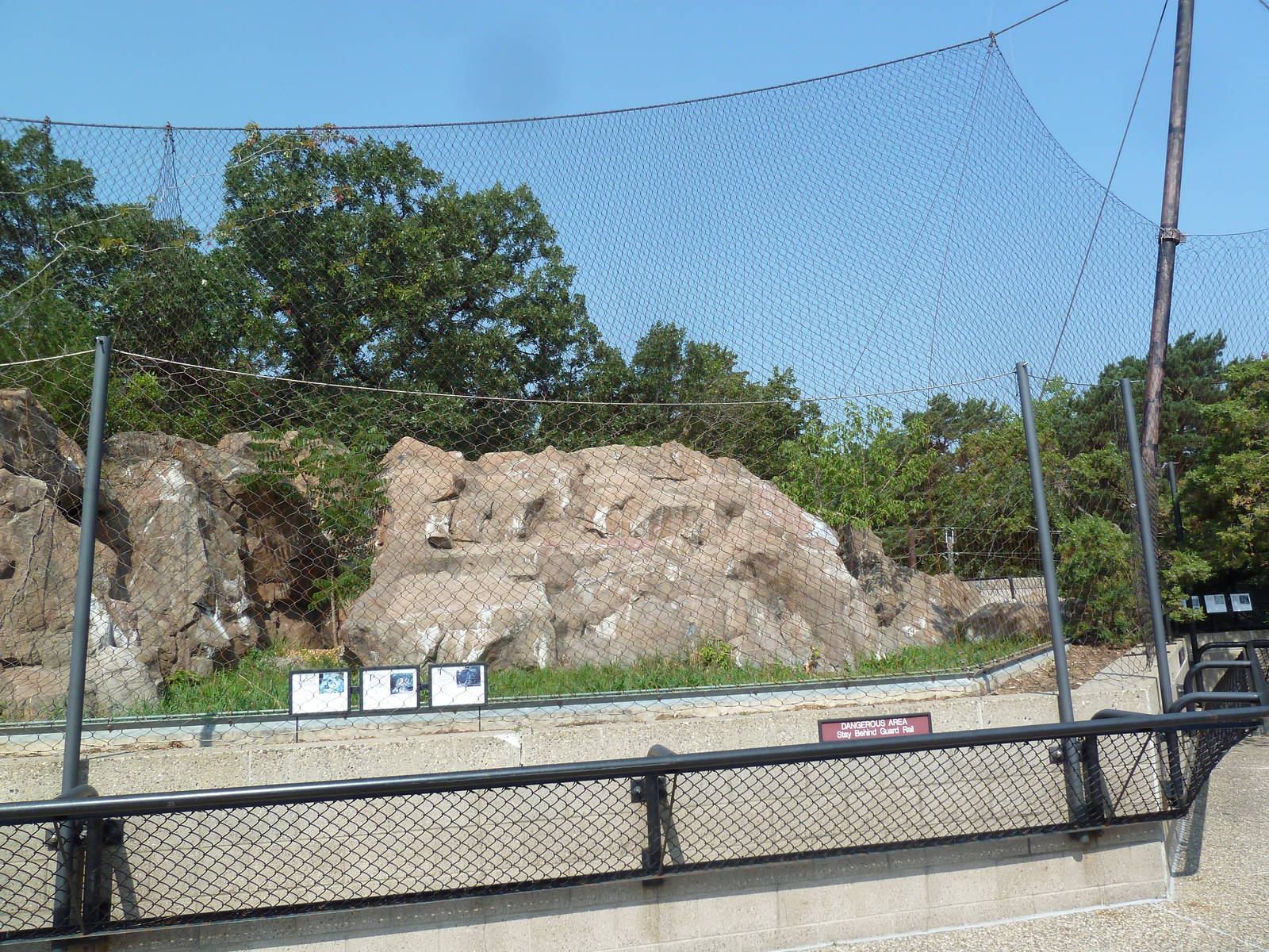 Snow Leopard Exhibit