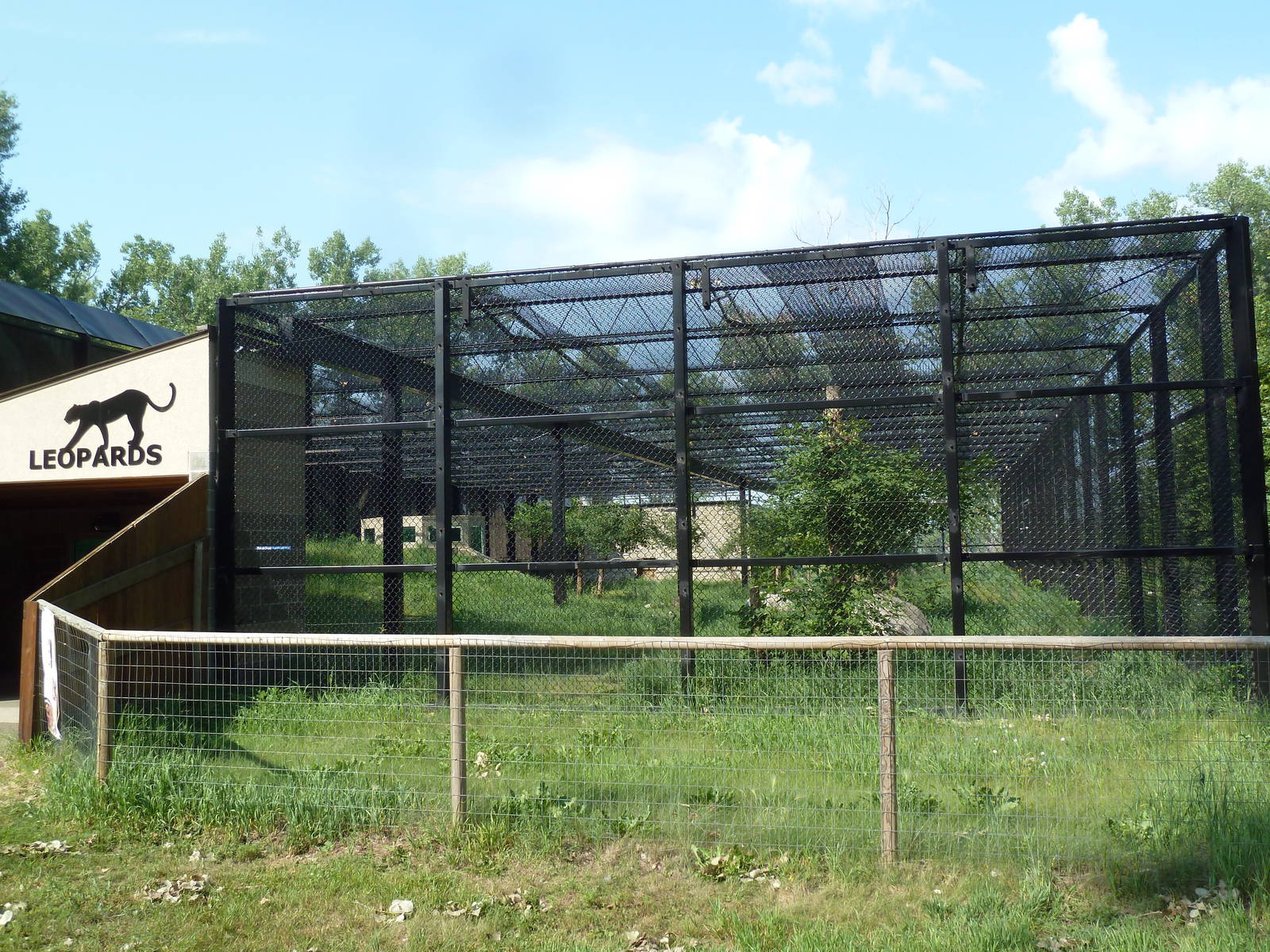 Snow Leopard Exhibit