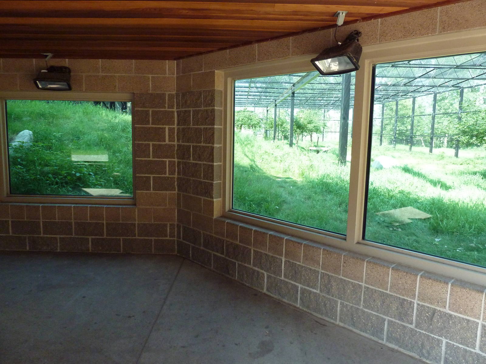 Snow Leopard Exhibit