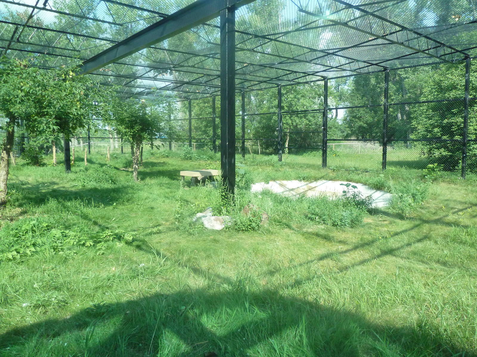 Snow Leopard Exhibit