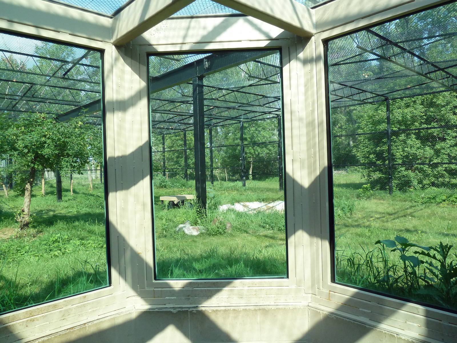 Snow Leopard Exhibit