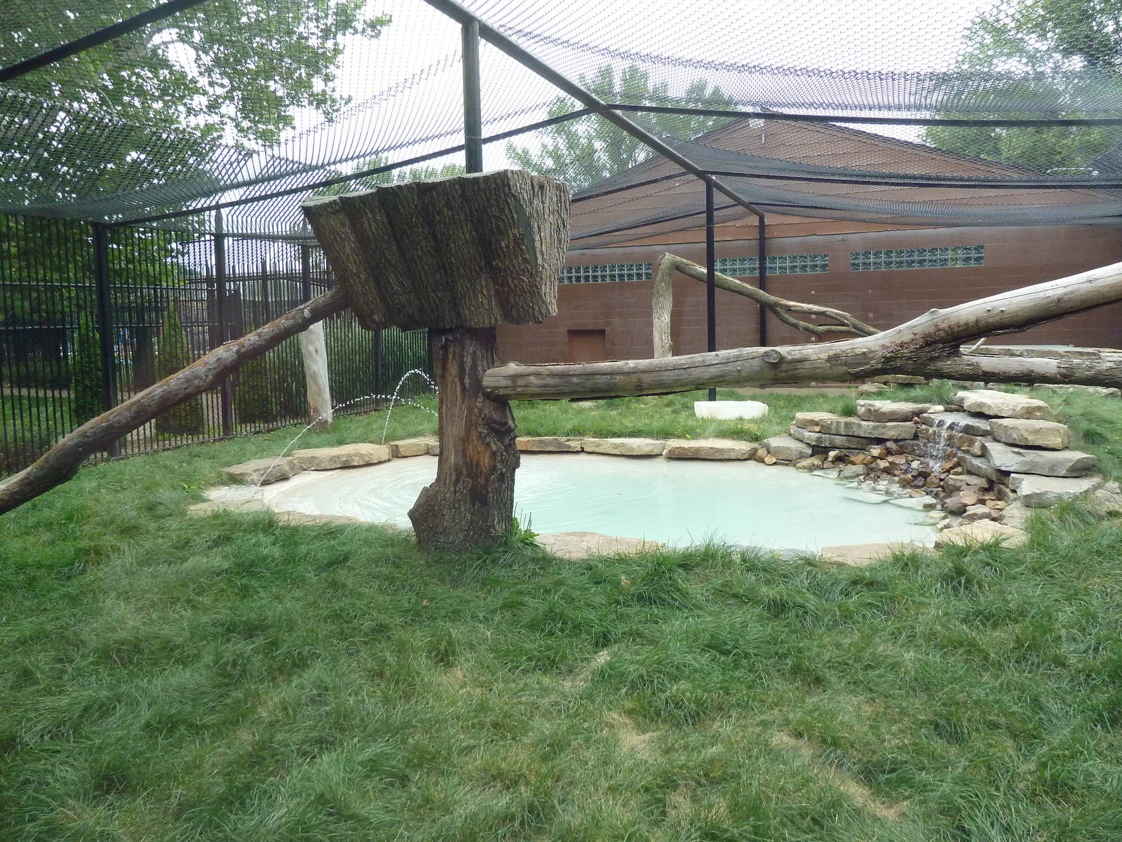 Snow Leopard Exhibit