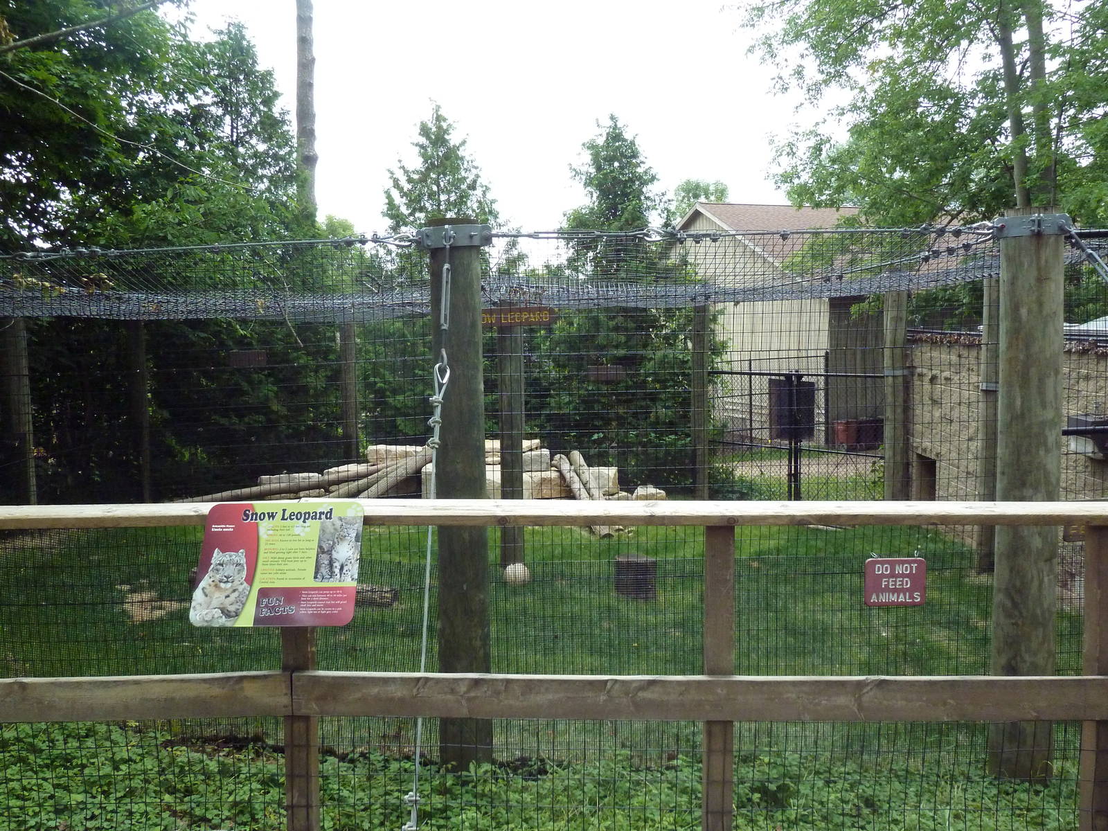 Snow Leopard Exhibit