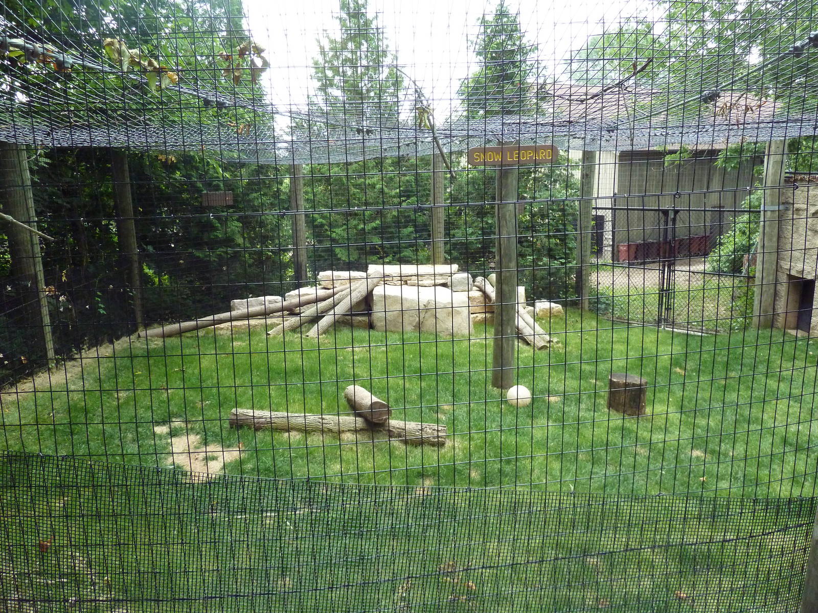 Snow Leopard Exhibit