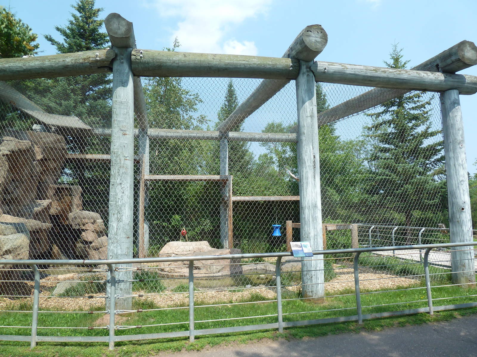 Snow Leopard Exhibit