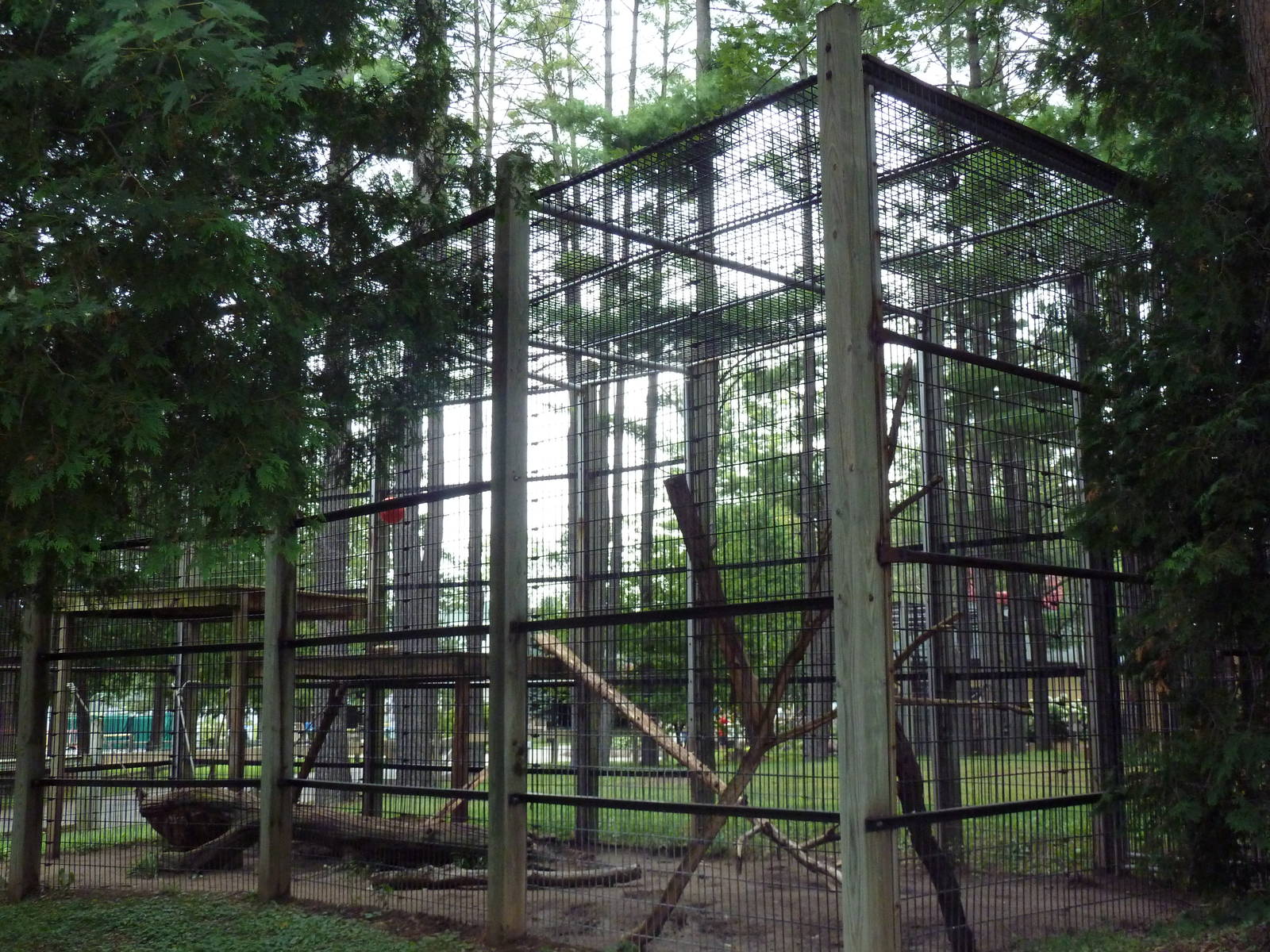 Snow Leopard Exhibit