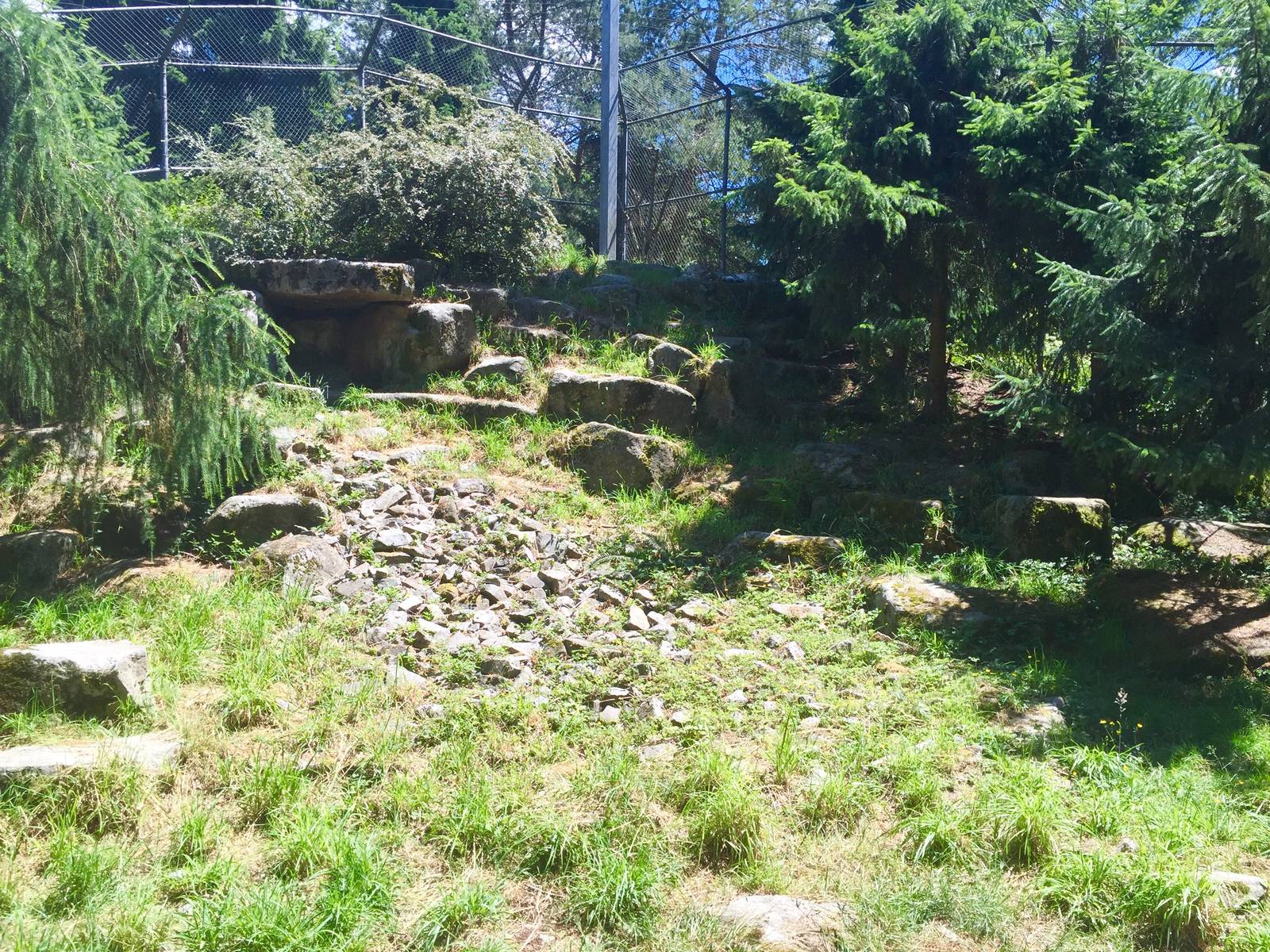 Snow Leopard Exhibit