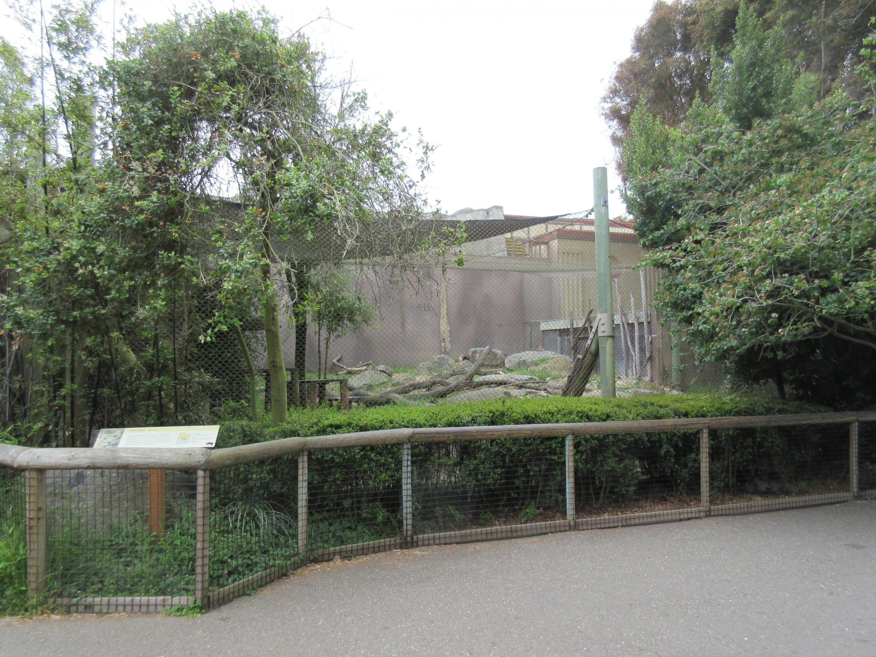 Snow Leopard Exhibit