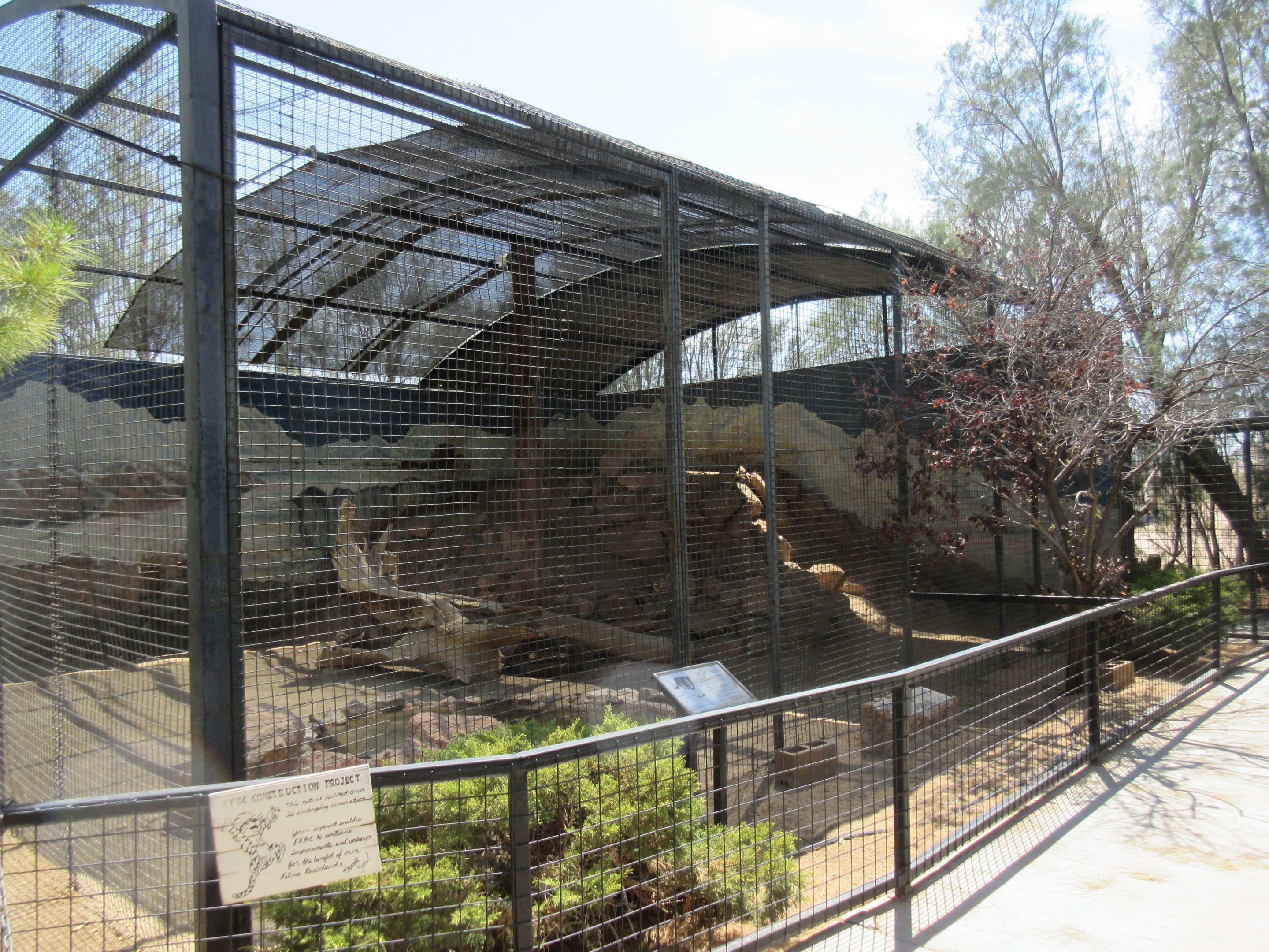 Snow Leopard Exhibit