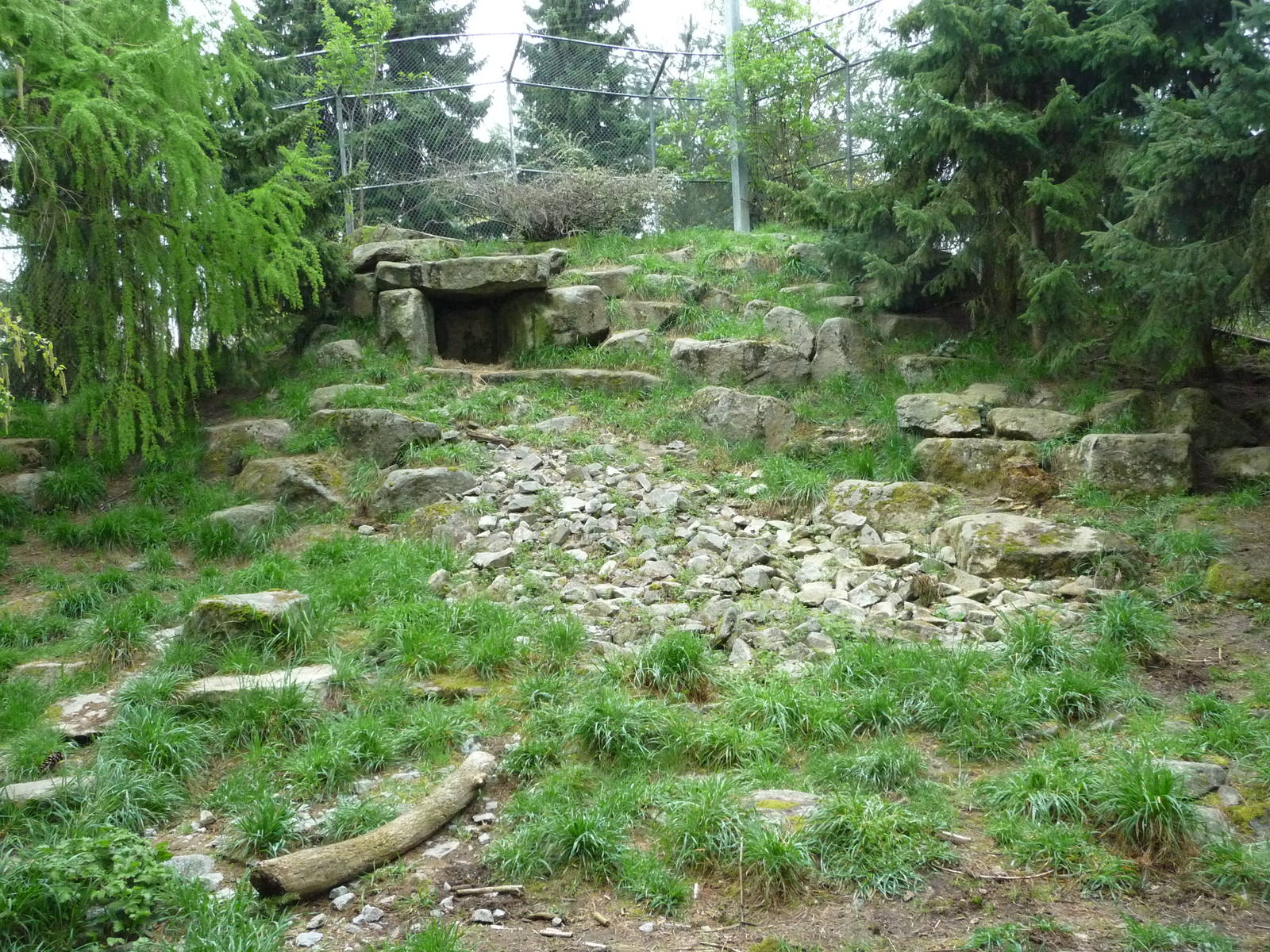 Snow Leopard Exhibit
