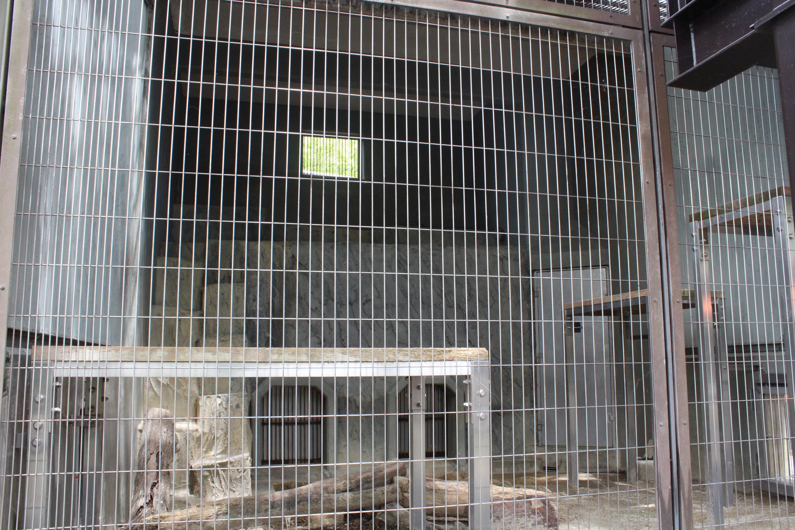 Snow leopard exhibit