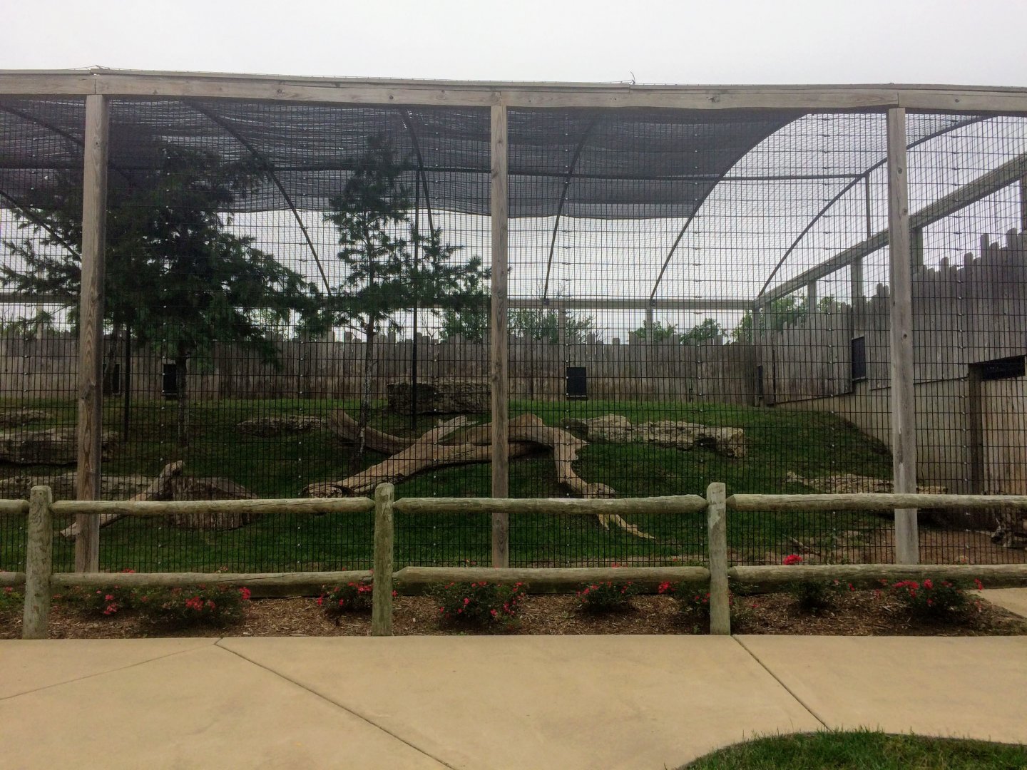 Snow Leopard exhibit