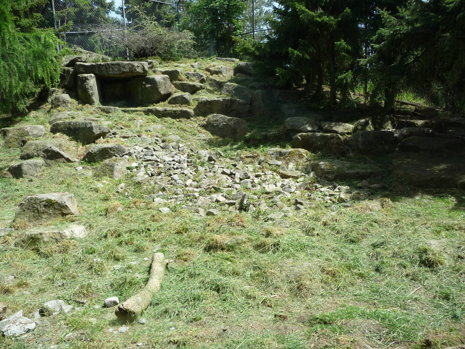 Snow Leopard Exhibit