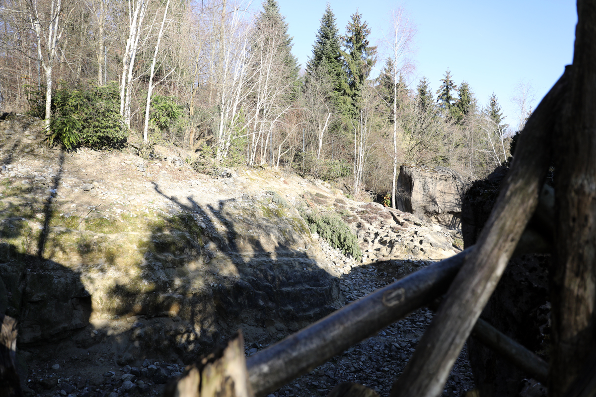 snow leopard exhibit