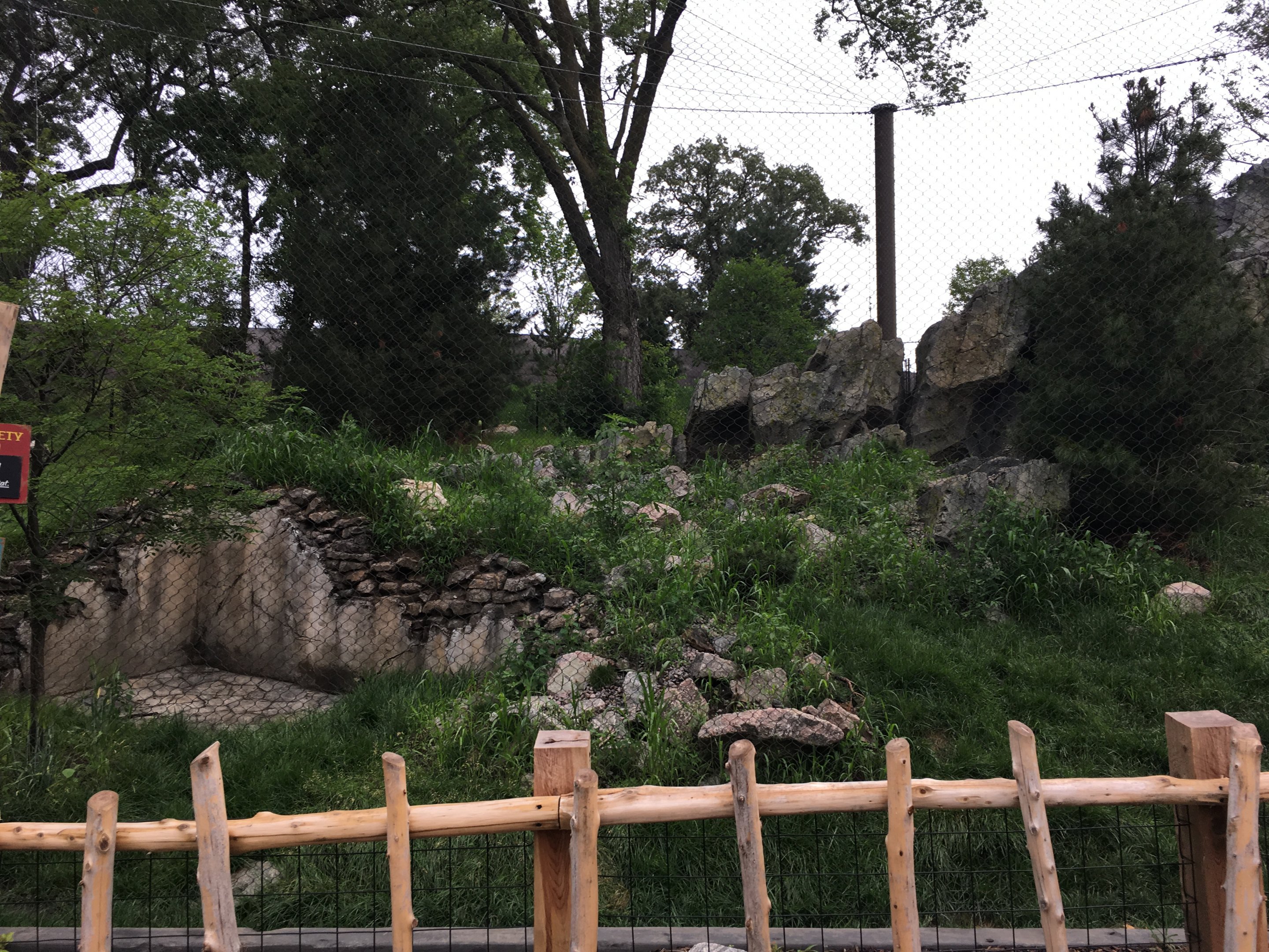 Snow leopard exhibit