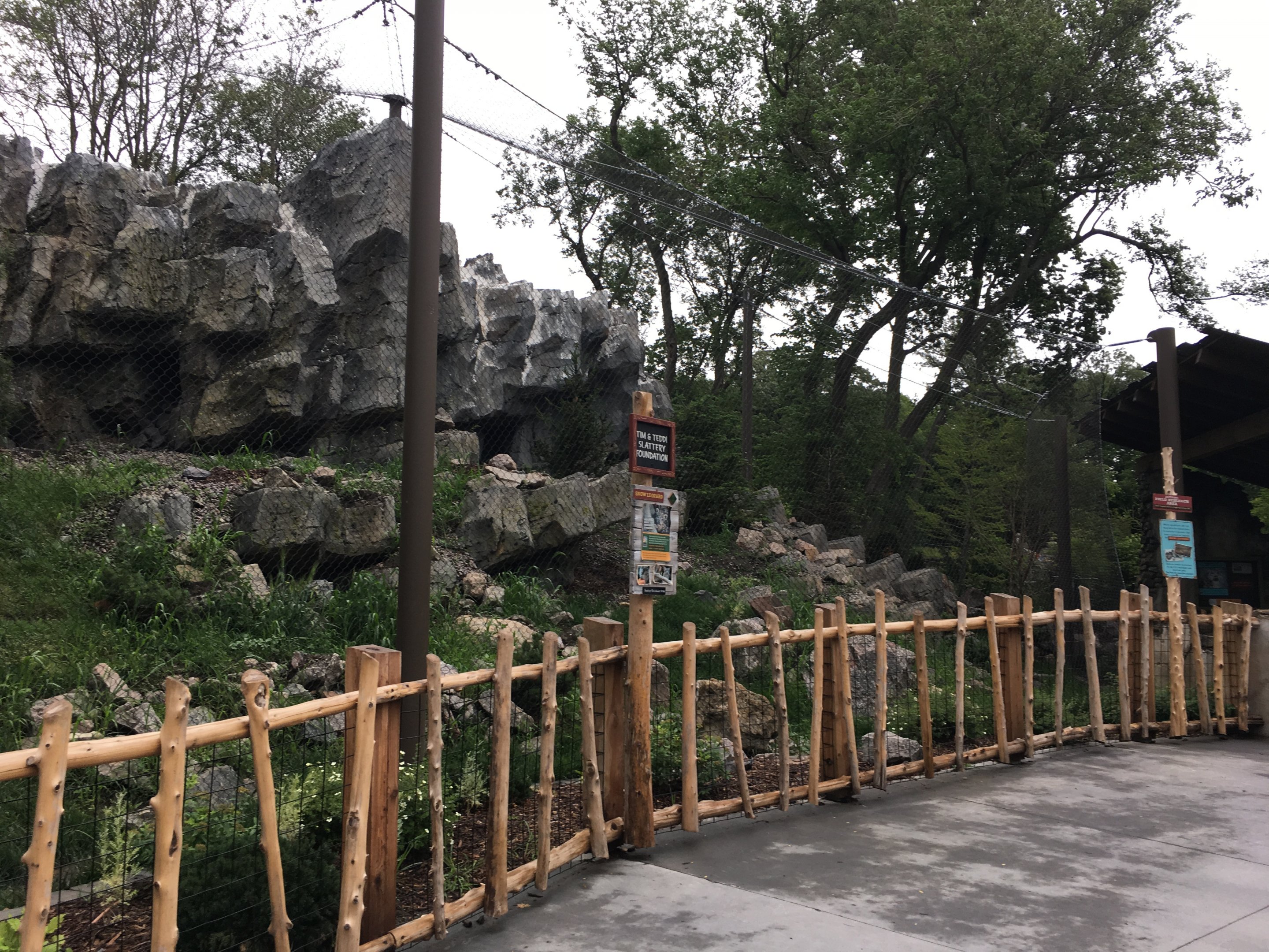 Snow leopard exhibit