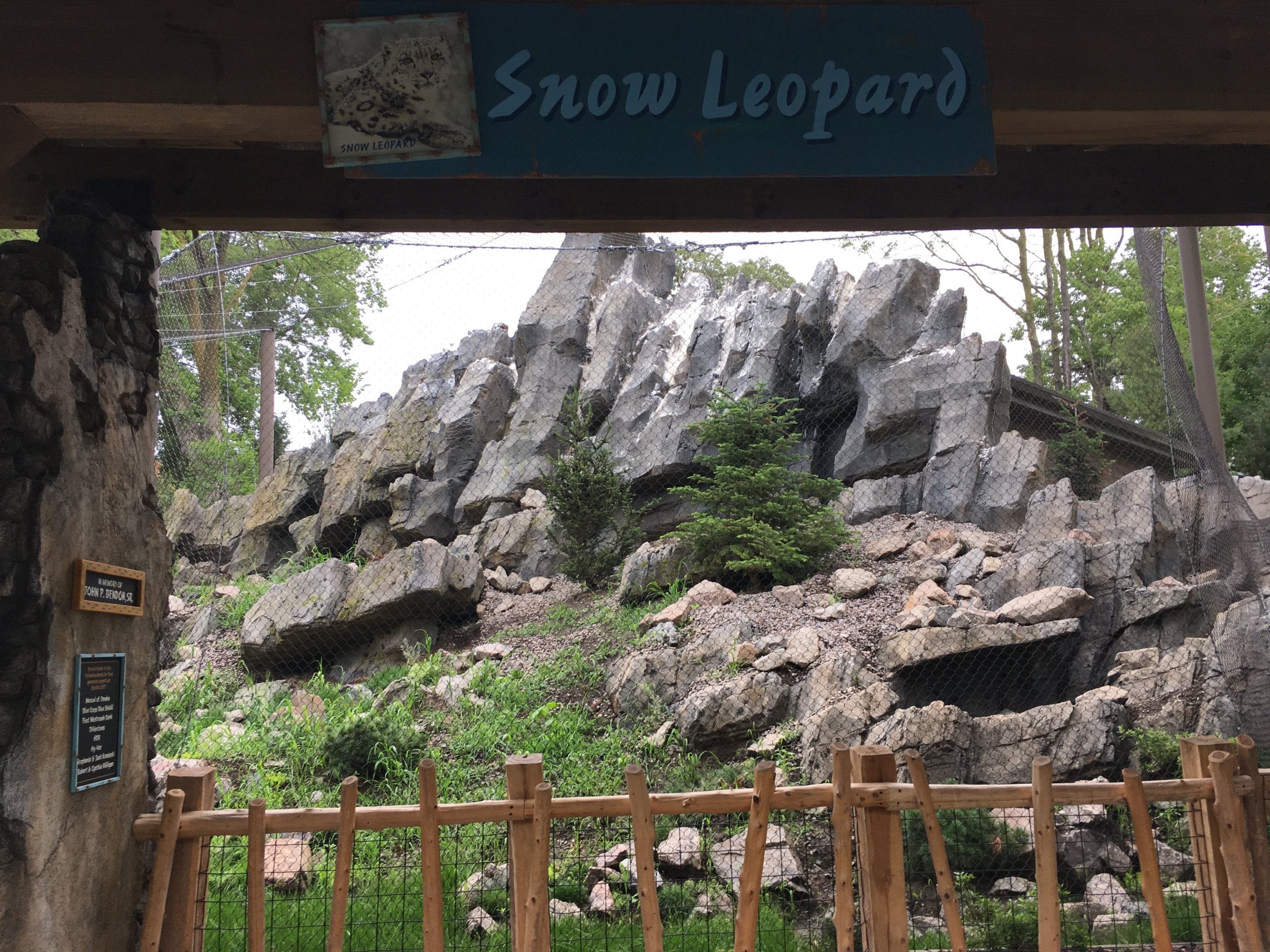 Snow leopard exhibit