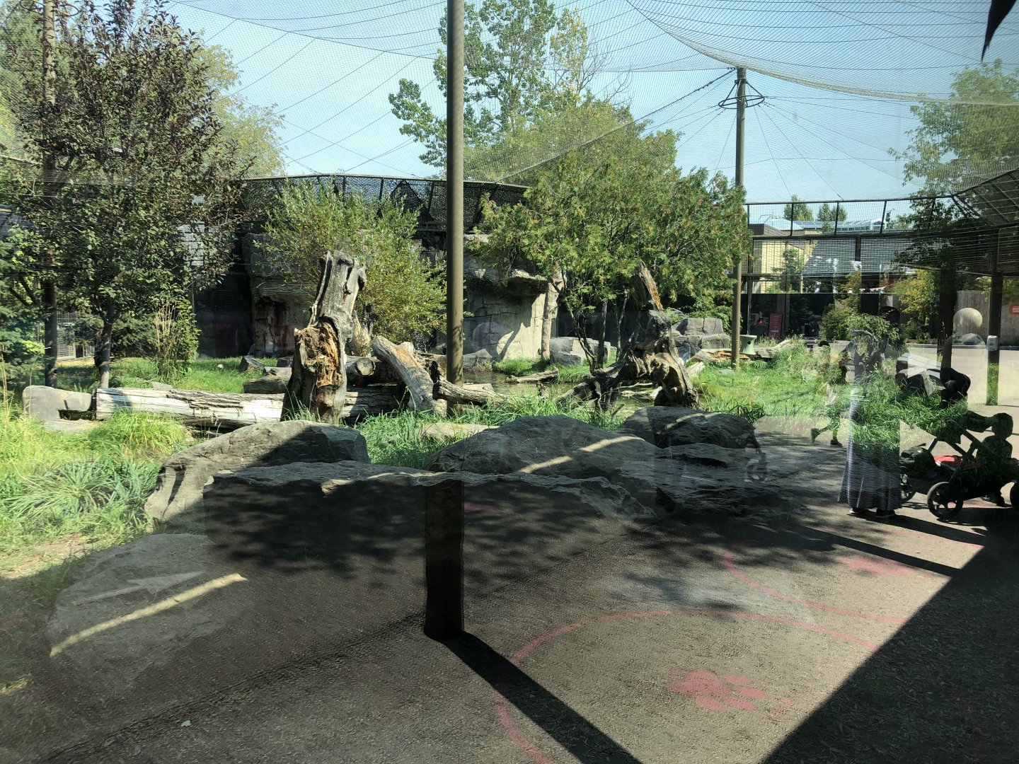 Snow Leopard Exhibit