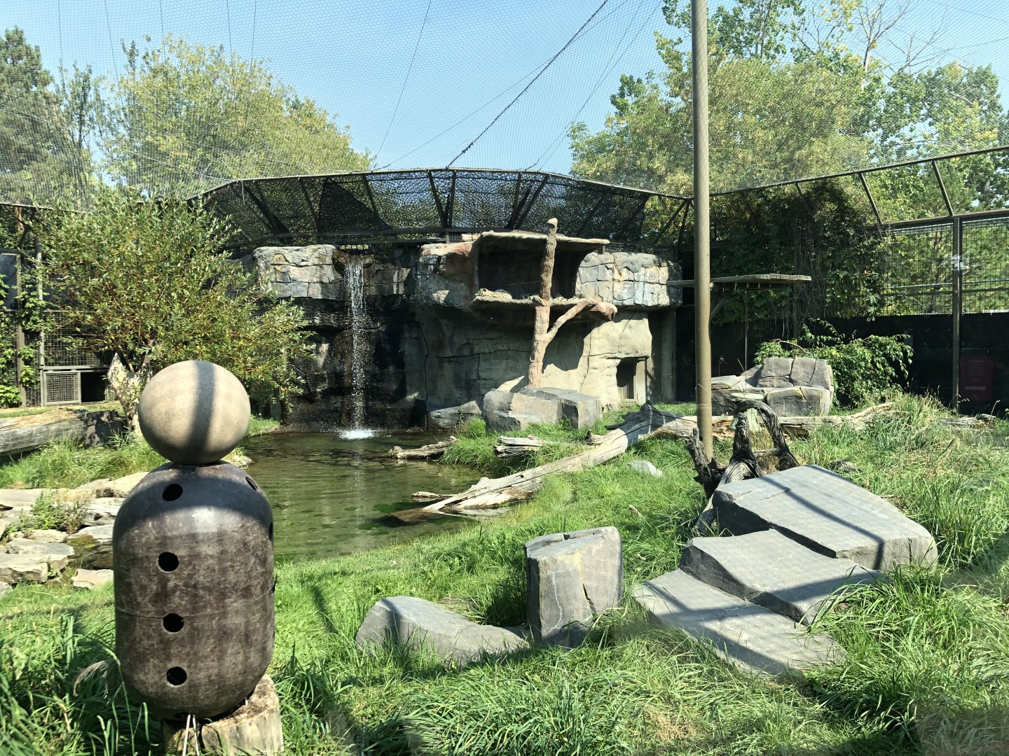 Snow Leopard Exhibit