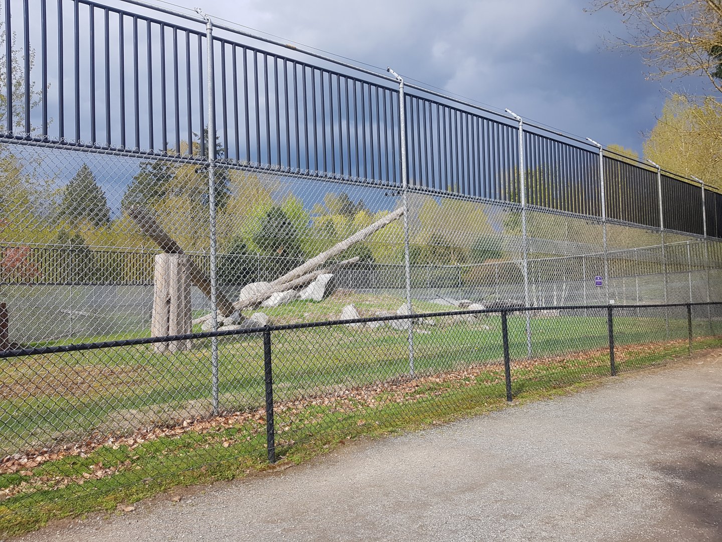 Snow Leopard Exhibit