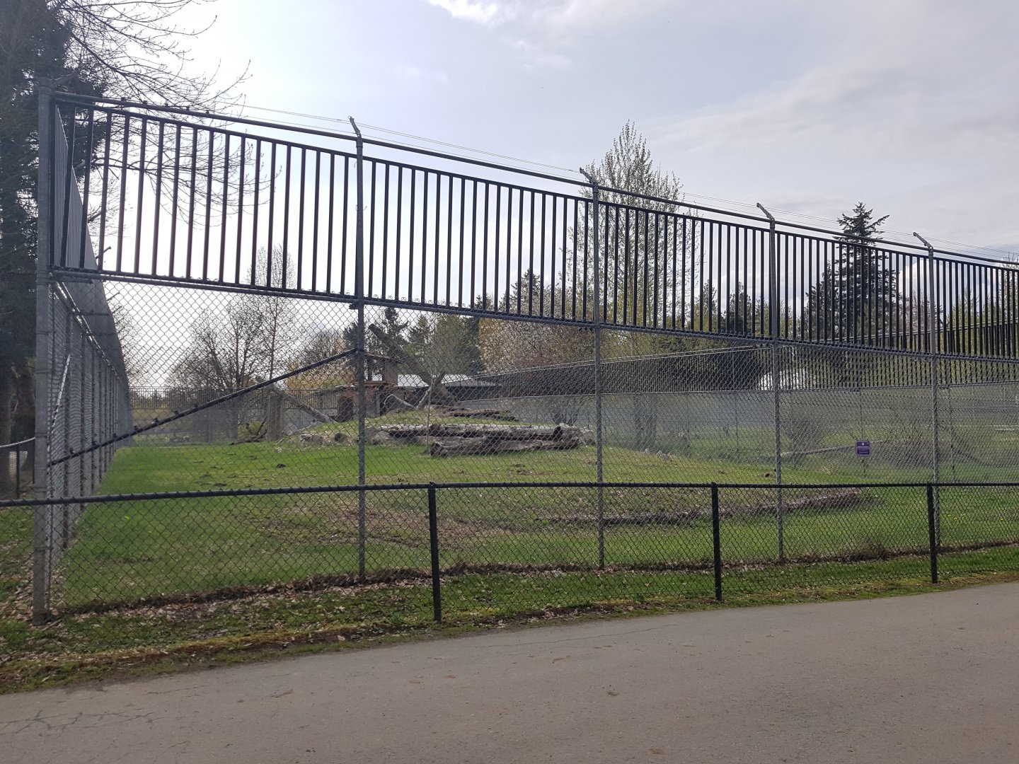 Snow Leopard Exhibit