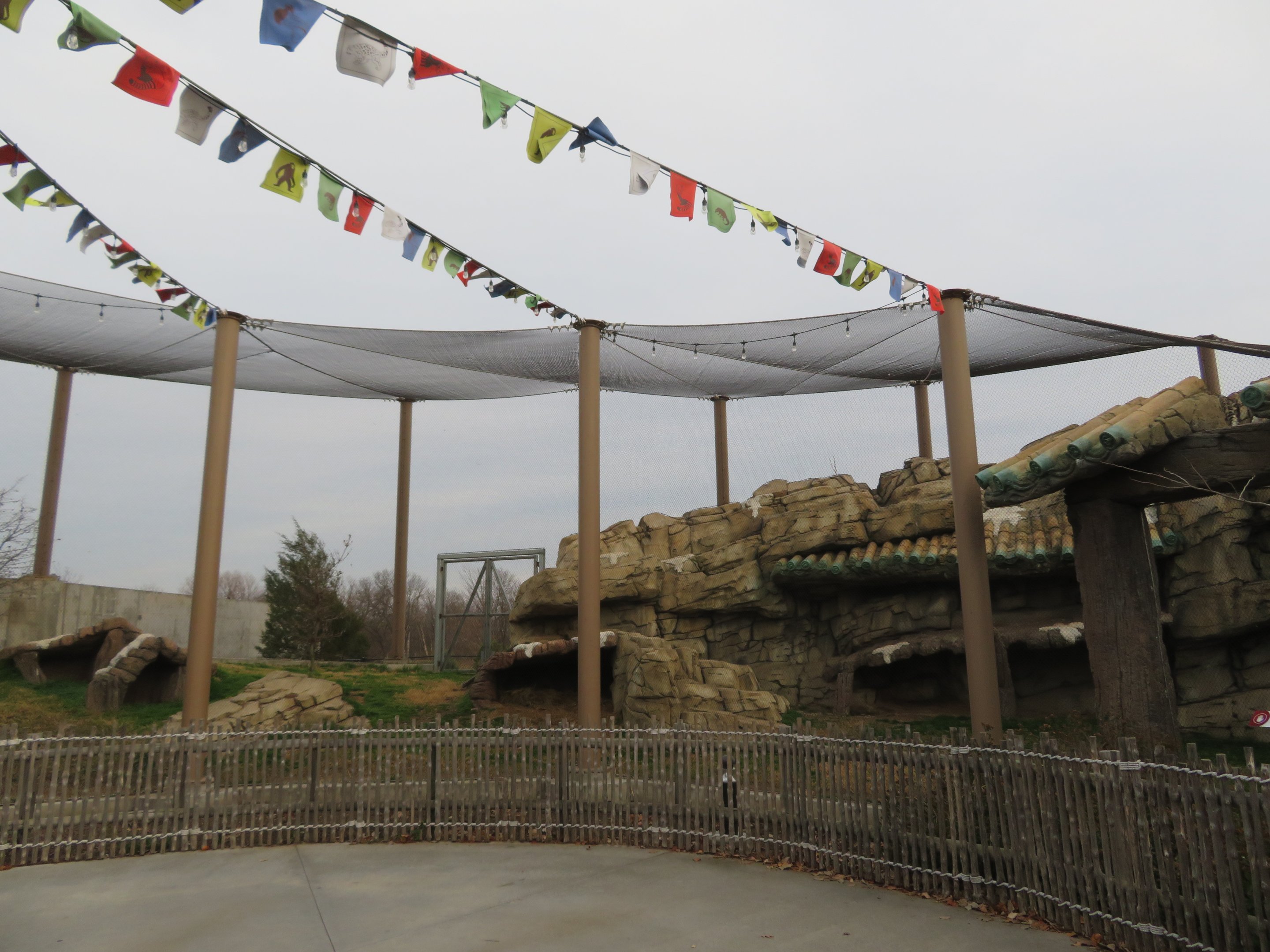 Snow Leopard Exhibit