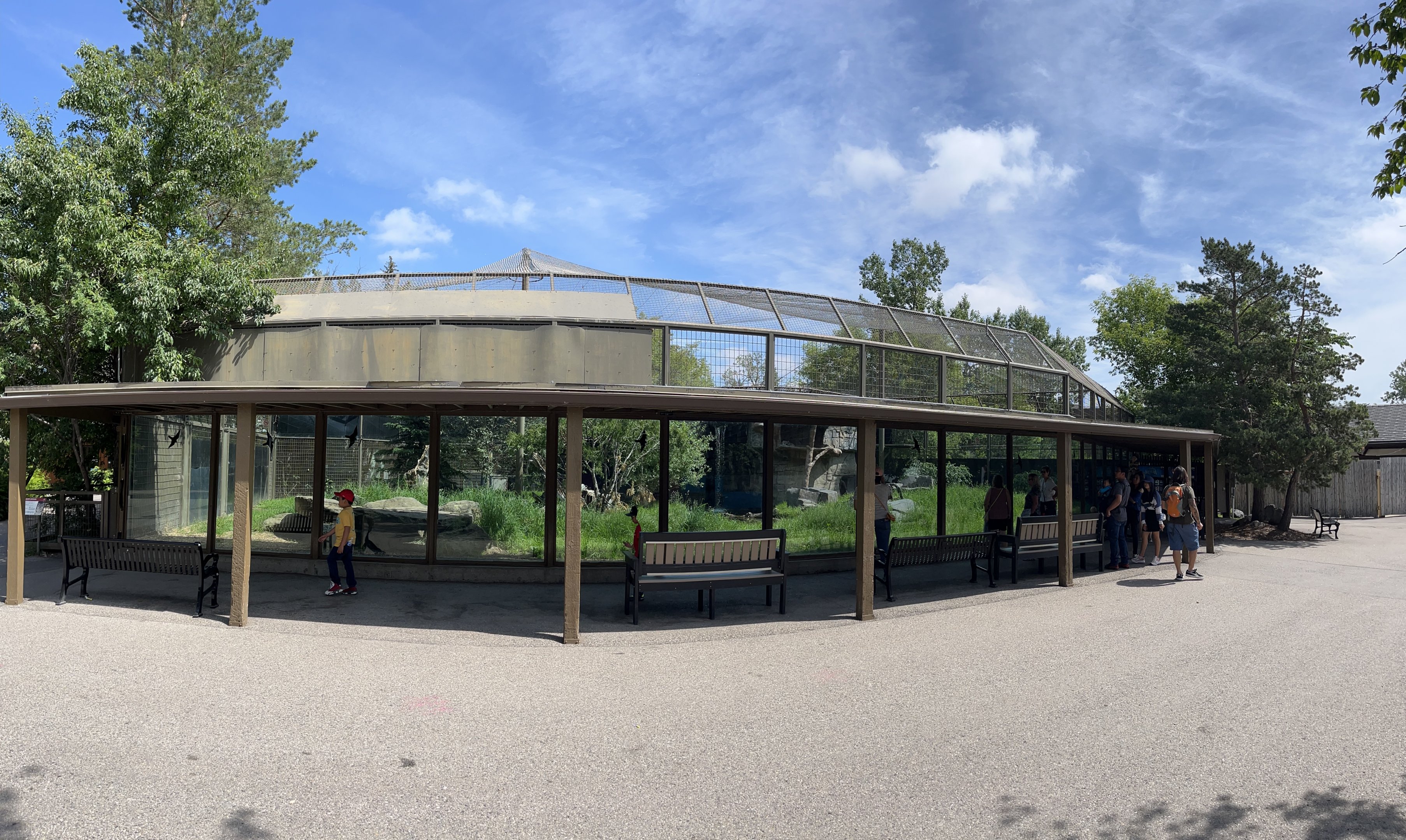 Snow Leopard Exhibit