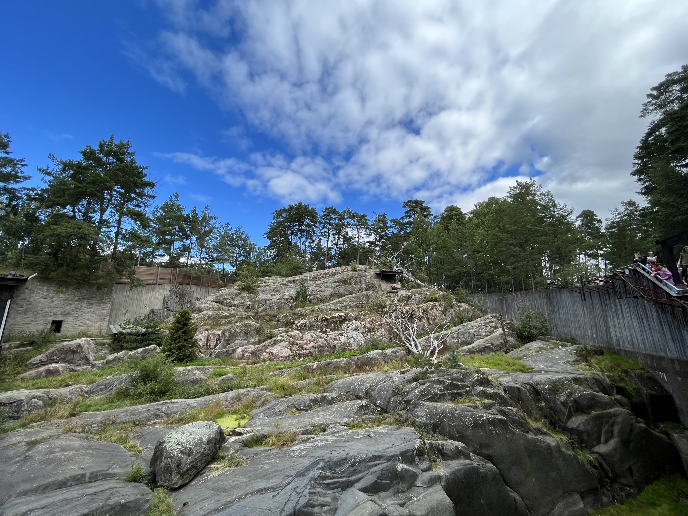 Snow Leopard Exhibit