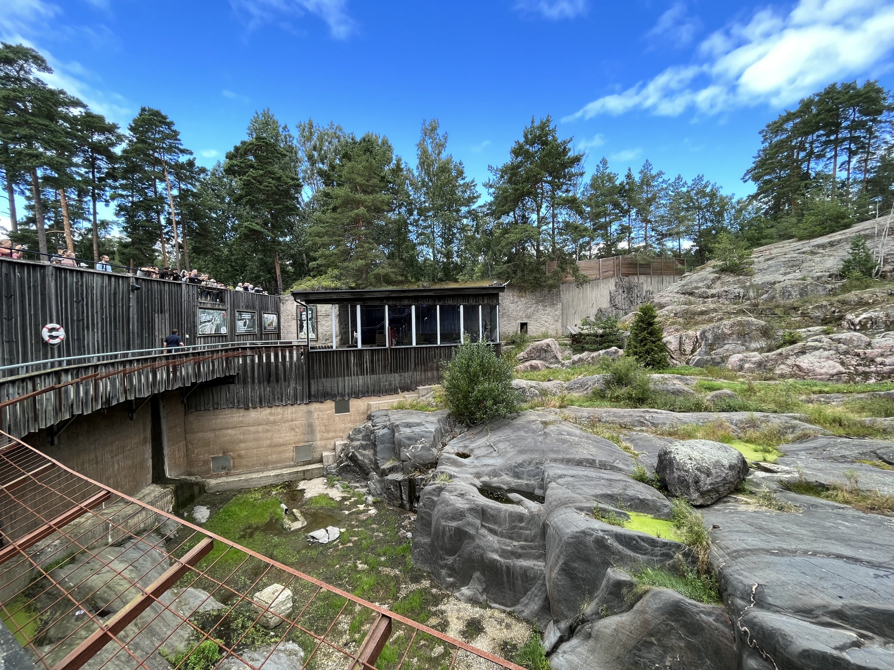 Snow Leopard Exhibit